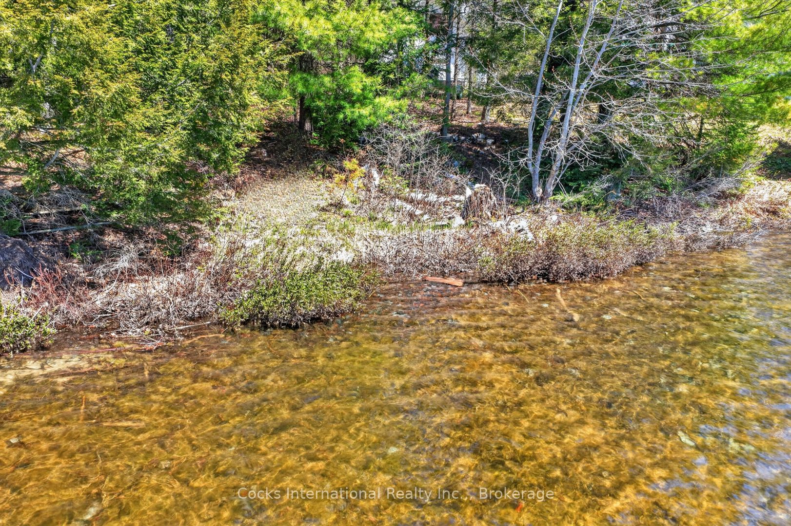 1165 Spring Lake Road Property Photo 7
