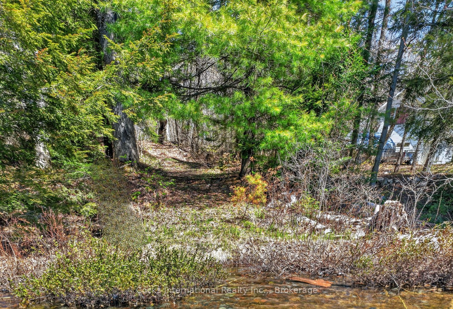1165 Spring Lake Road Property Photo 8