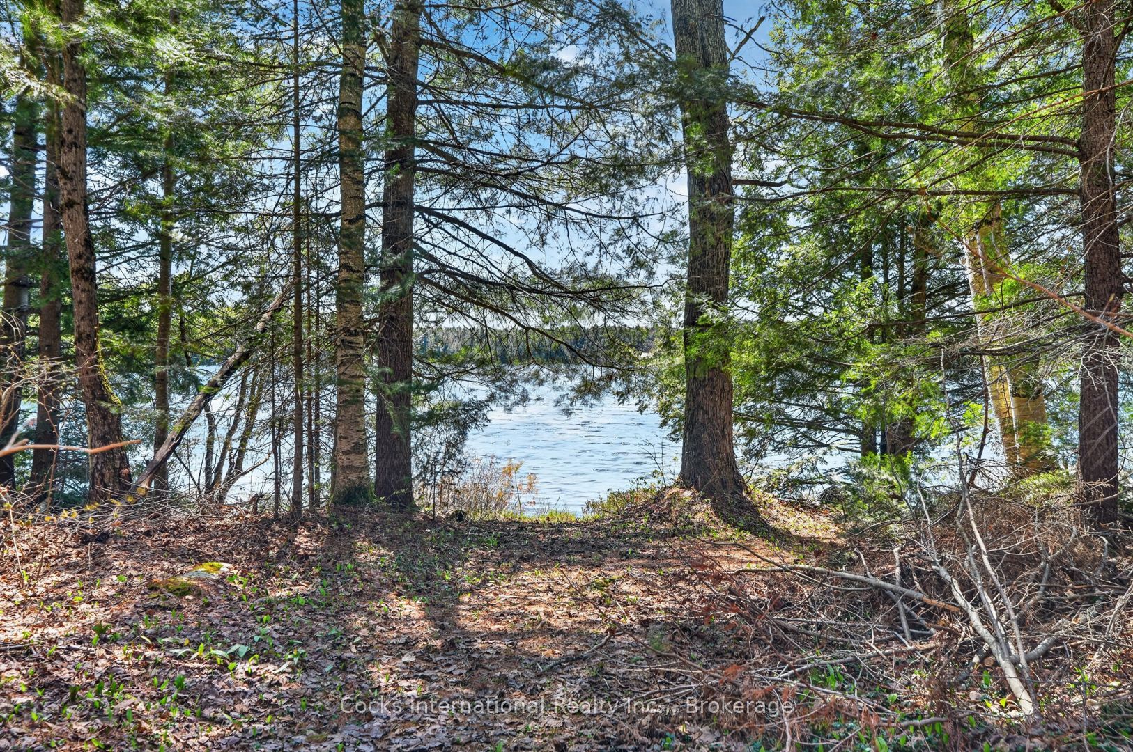 1165 Spring Lake Road Property Photo 9