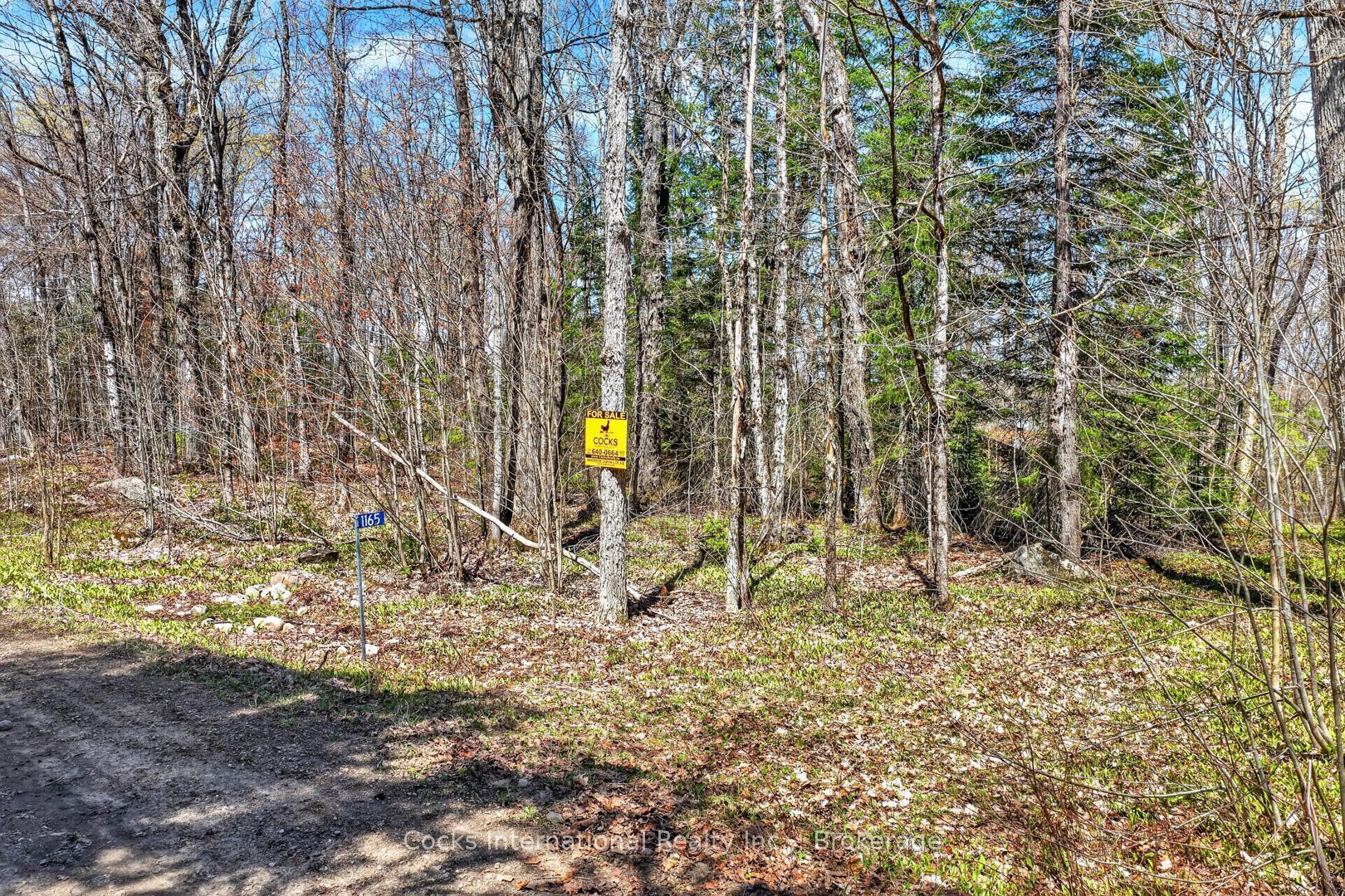 1165 Spring Lake Road Property Photo 19