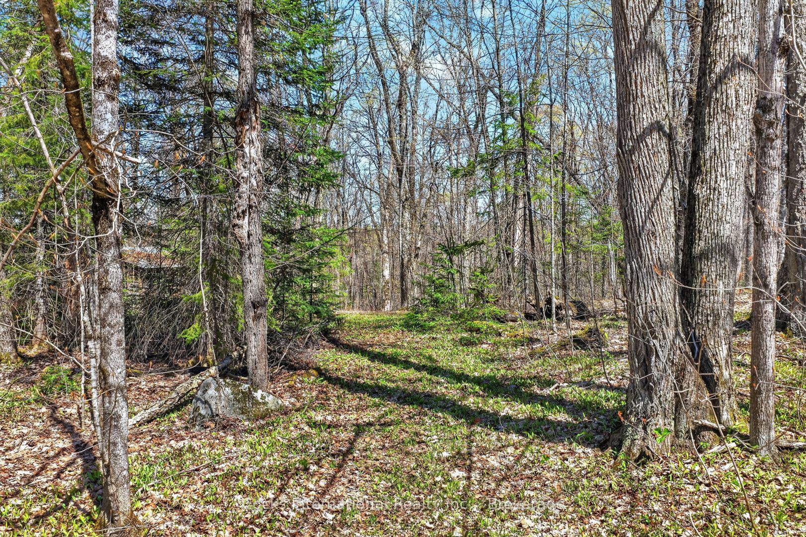 1165 Spring Lake Road Property Photo 20