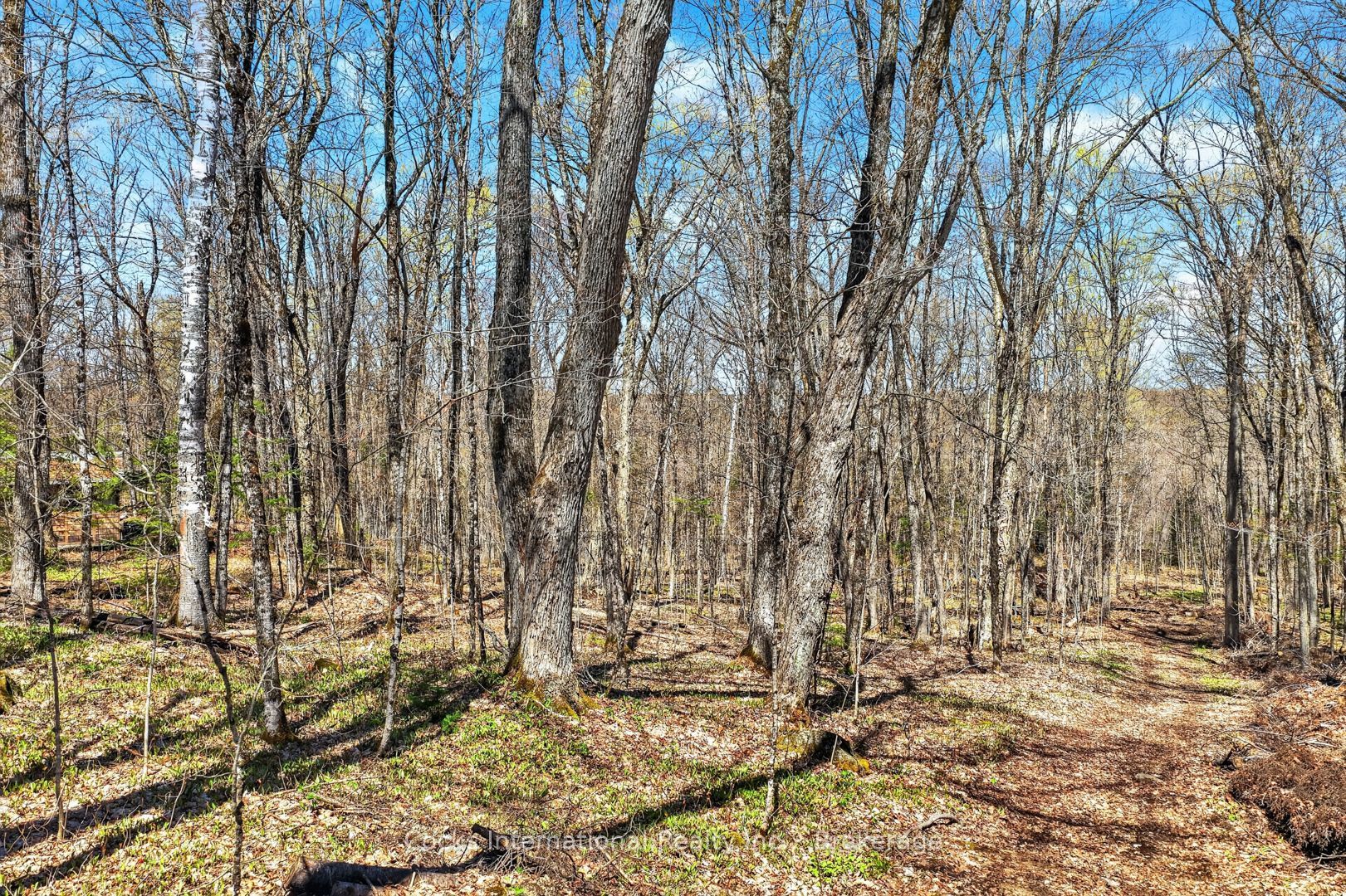 1165 Spring Lake Road Property Photo 21