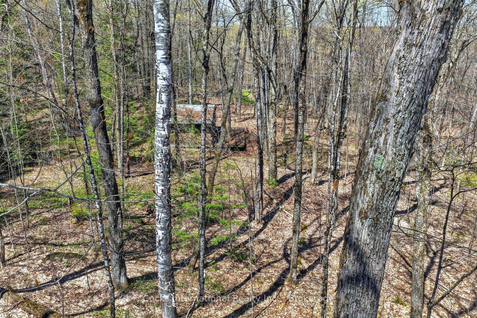 1165 Spring Lake Road Property Photo 22