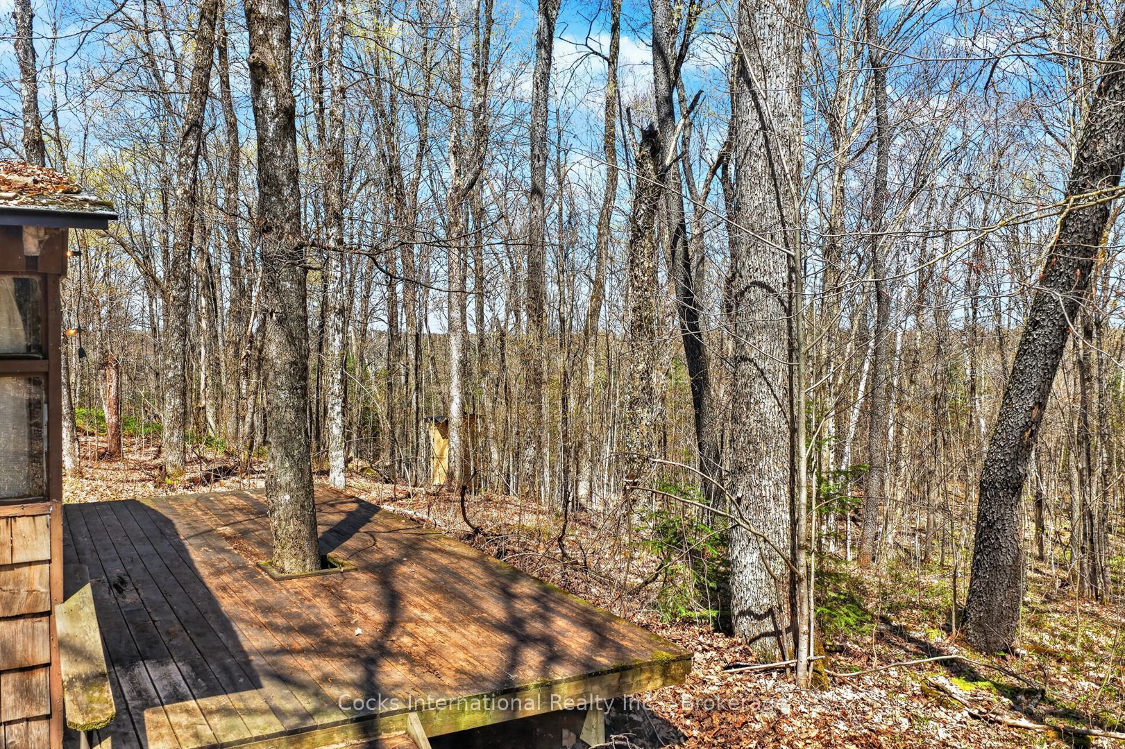 1165 Spring Lake Road Property Photo 24