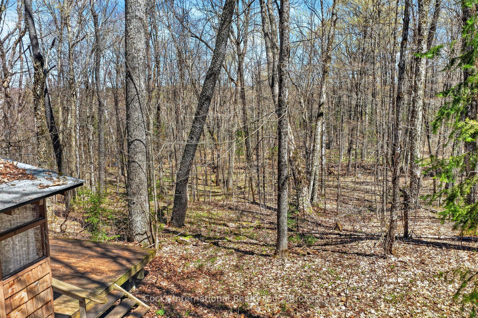 1165 Spring Lake Road Property Photo 25