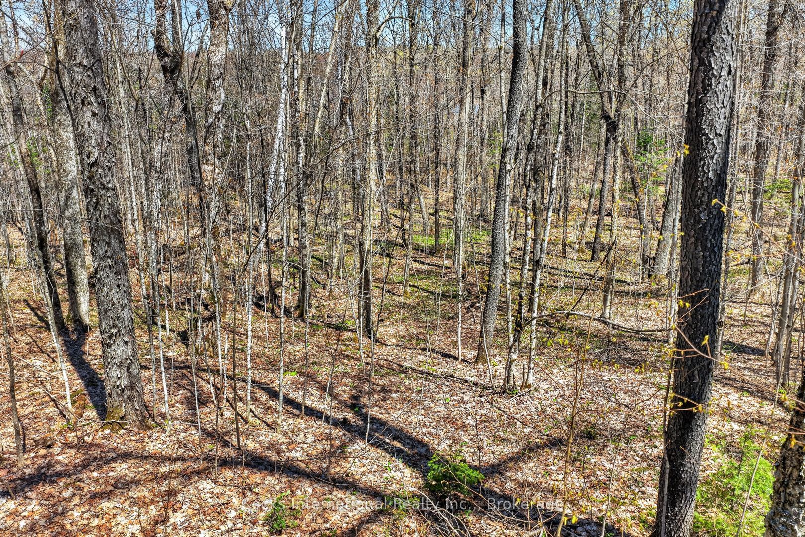 1165 Spring Lake Road Property Photo 26