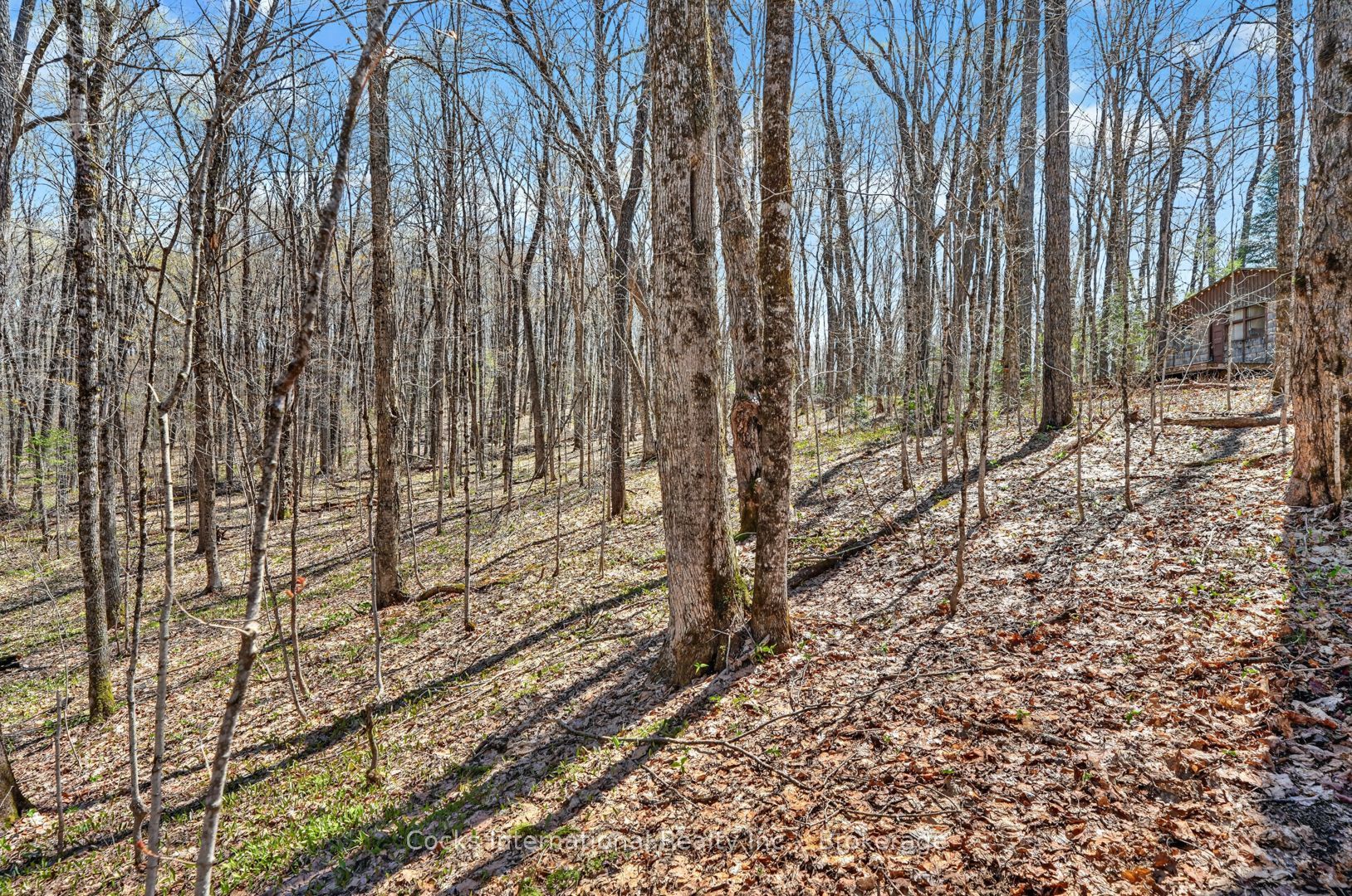 1165 Spring Lake Road Property Photo 34