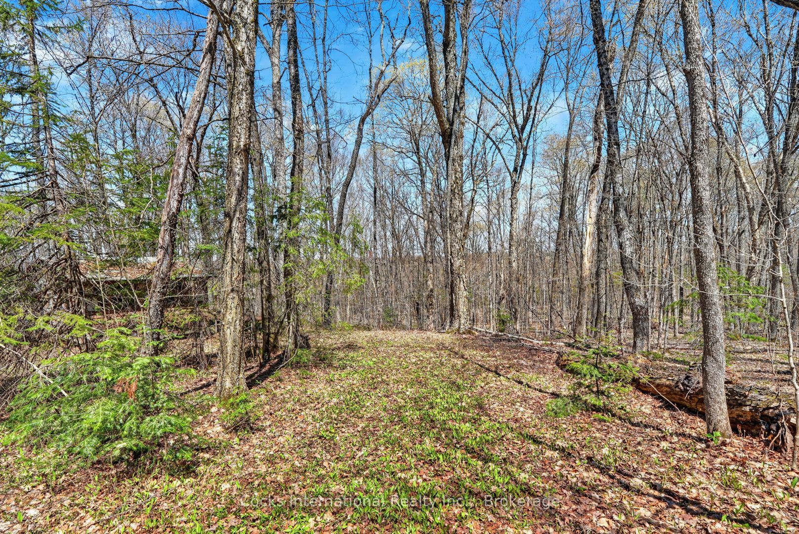 1165 Spring Lake Road Property Photo 36