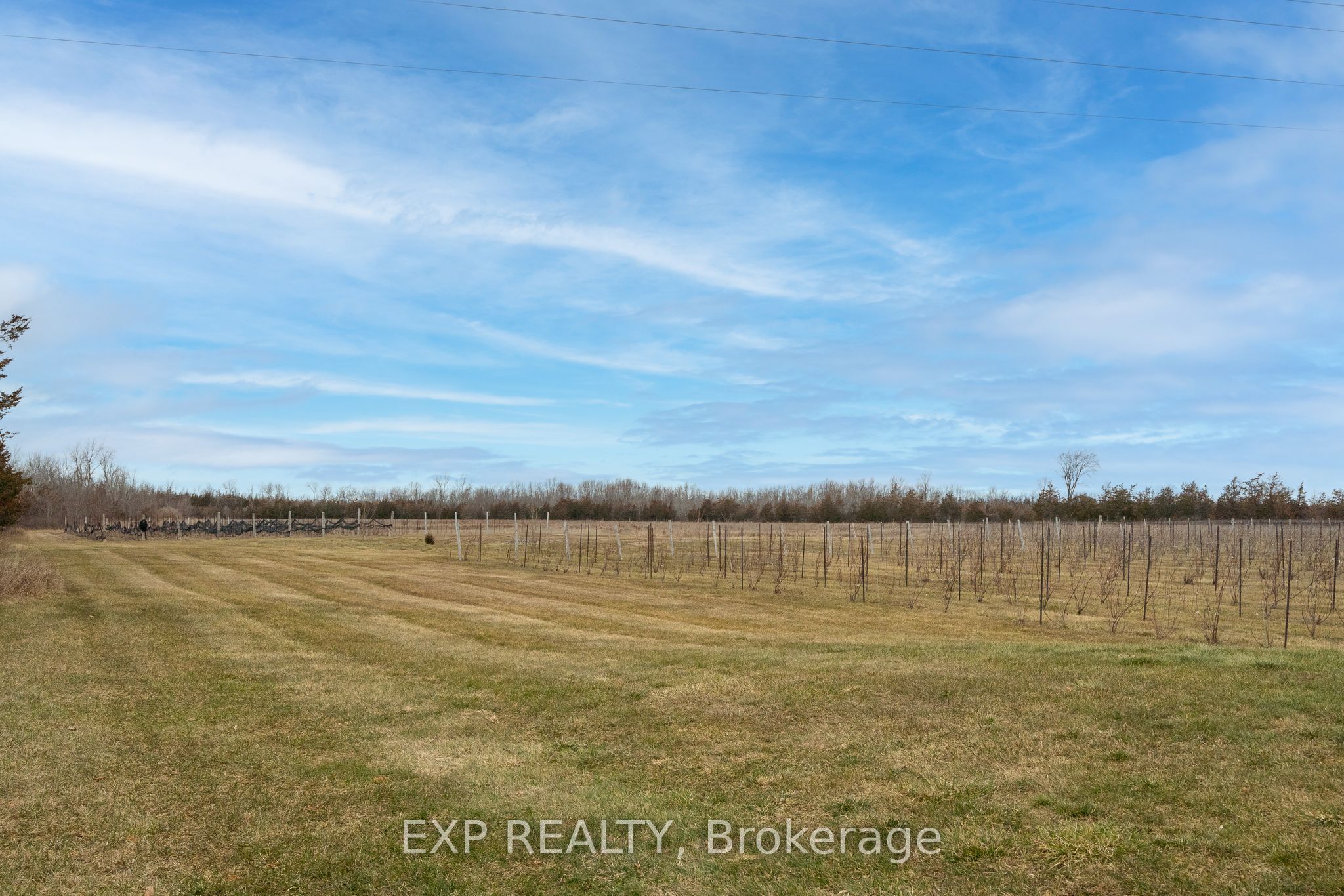 3589 County Road 8 Property Photo 38