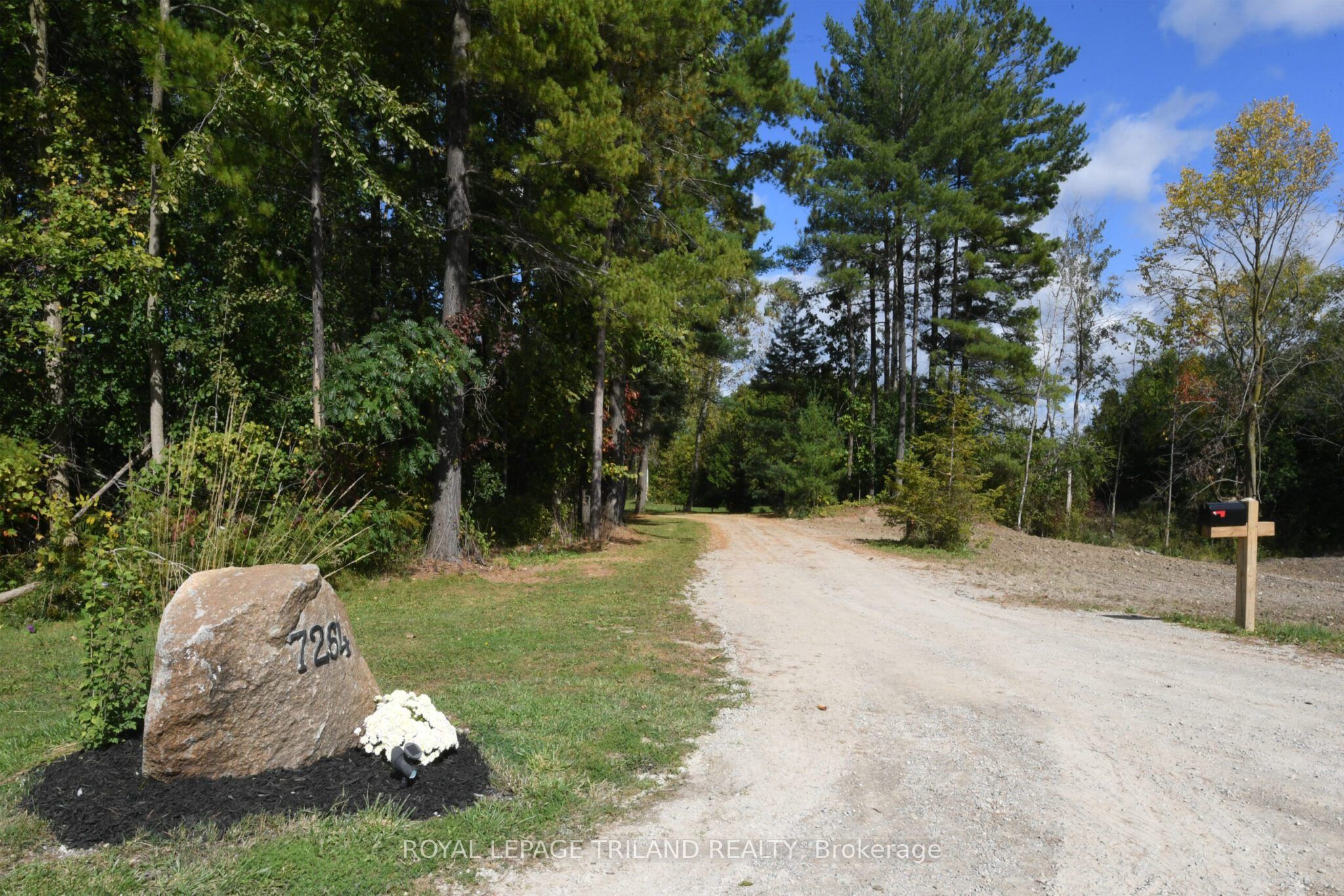 7264 Ridge Road Property Photo 3