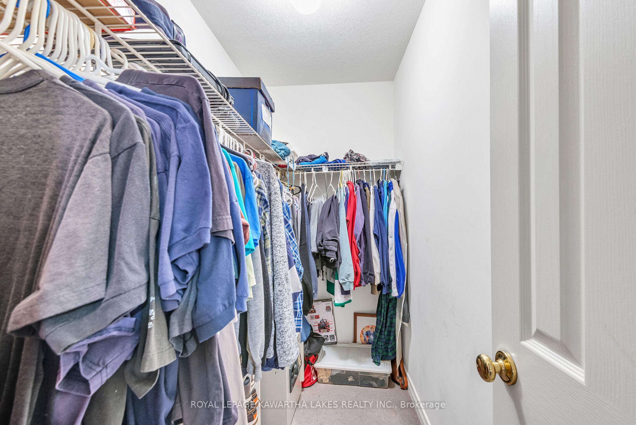 62 Evans Drive Property Photo 18
