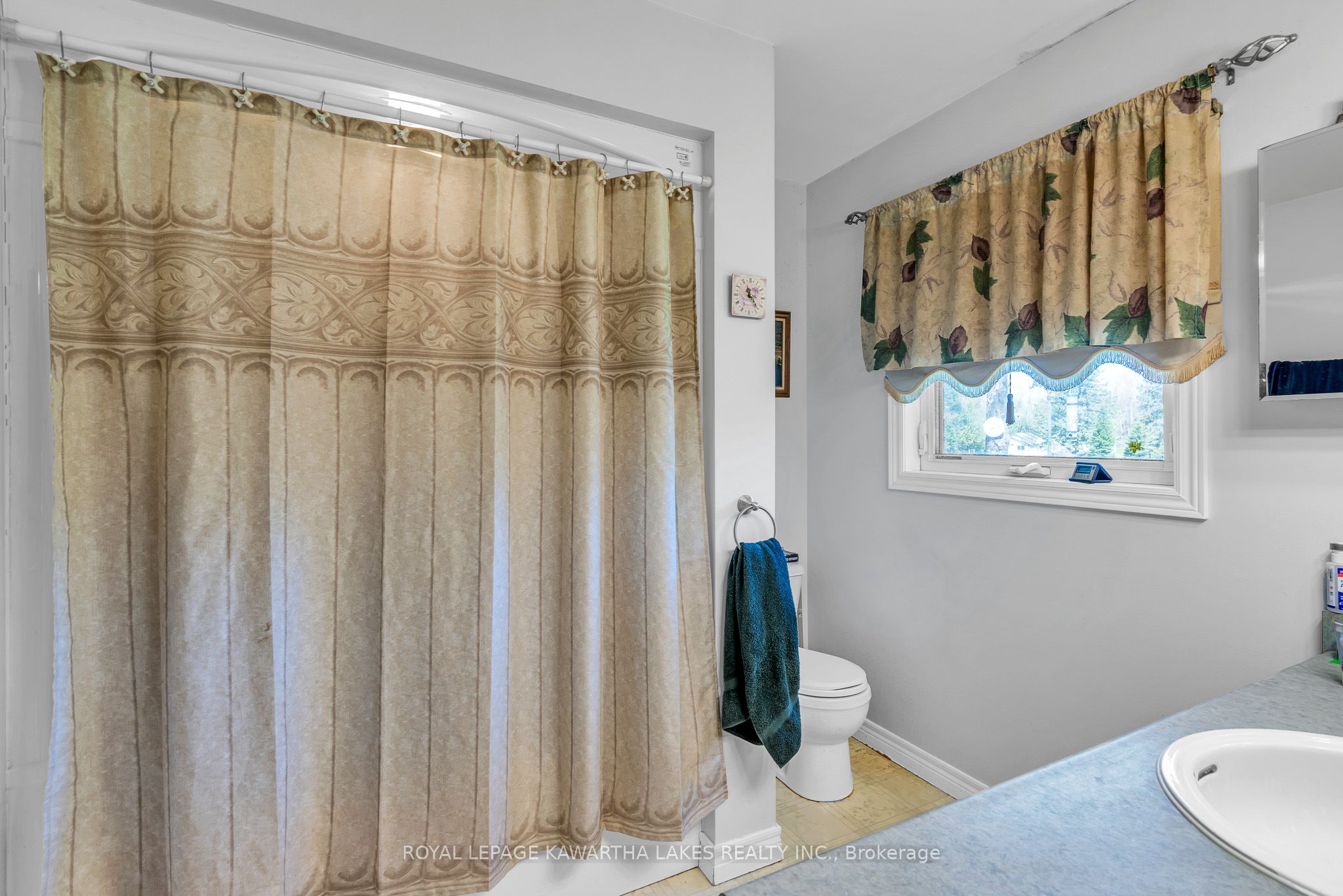 62 Evans Drive Property Photo 21
