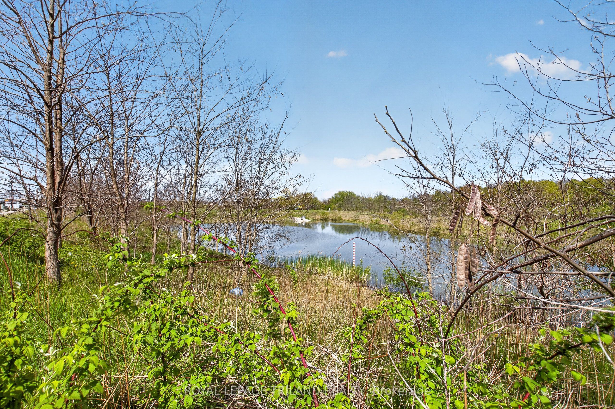 1199 Blackwell Boulevard Property Photo 4