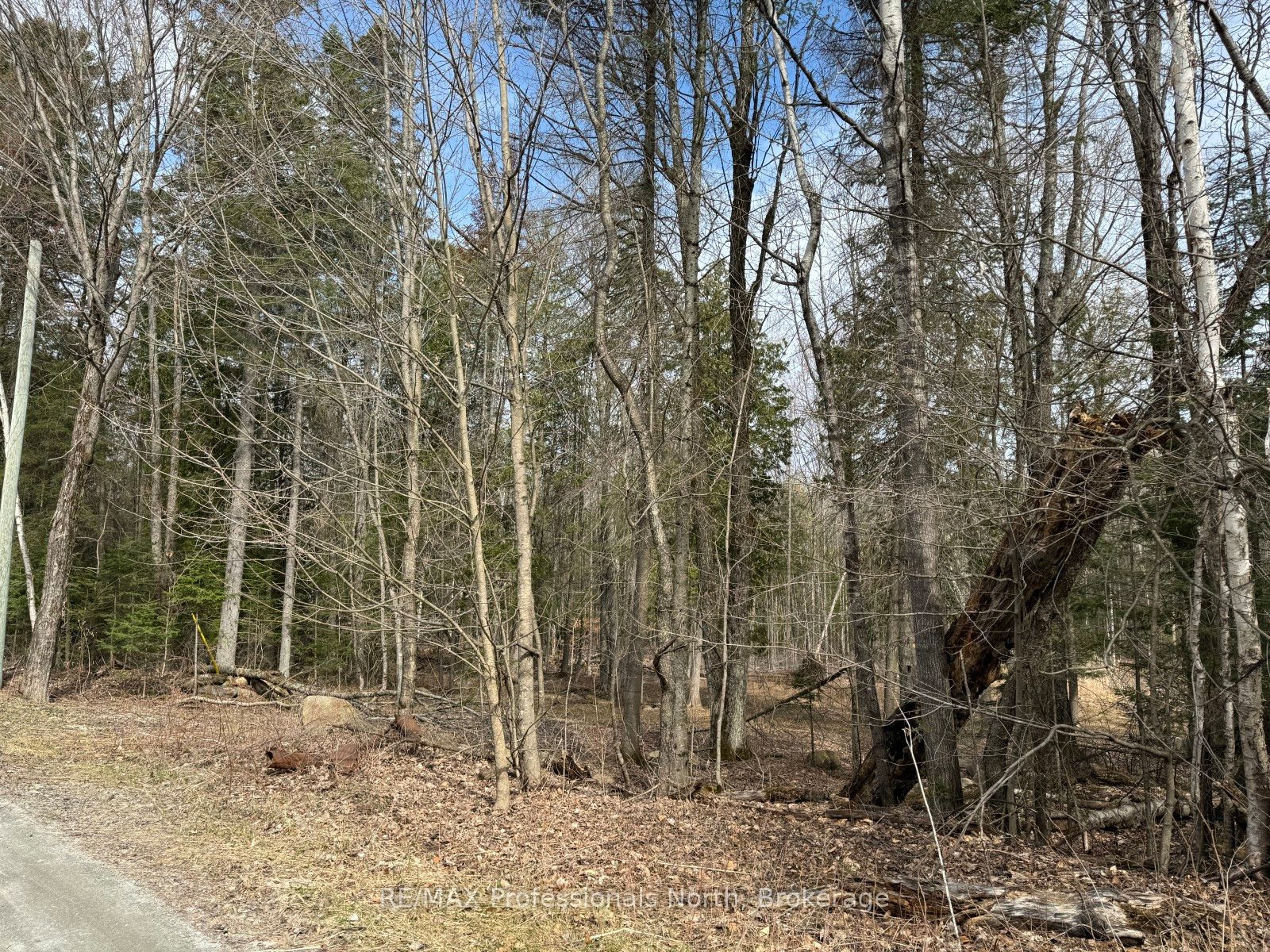 Tbd North Drive Property Photo 2