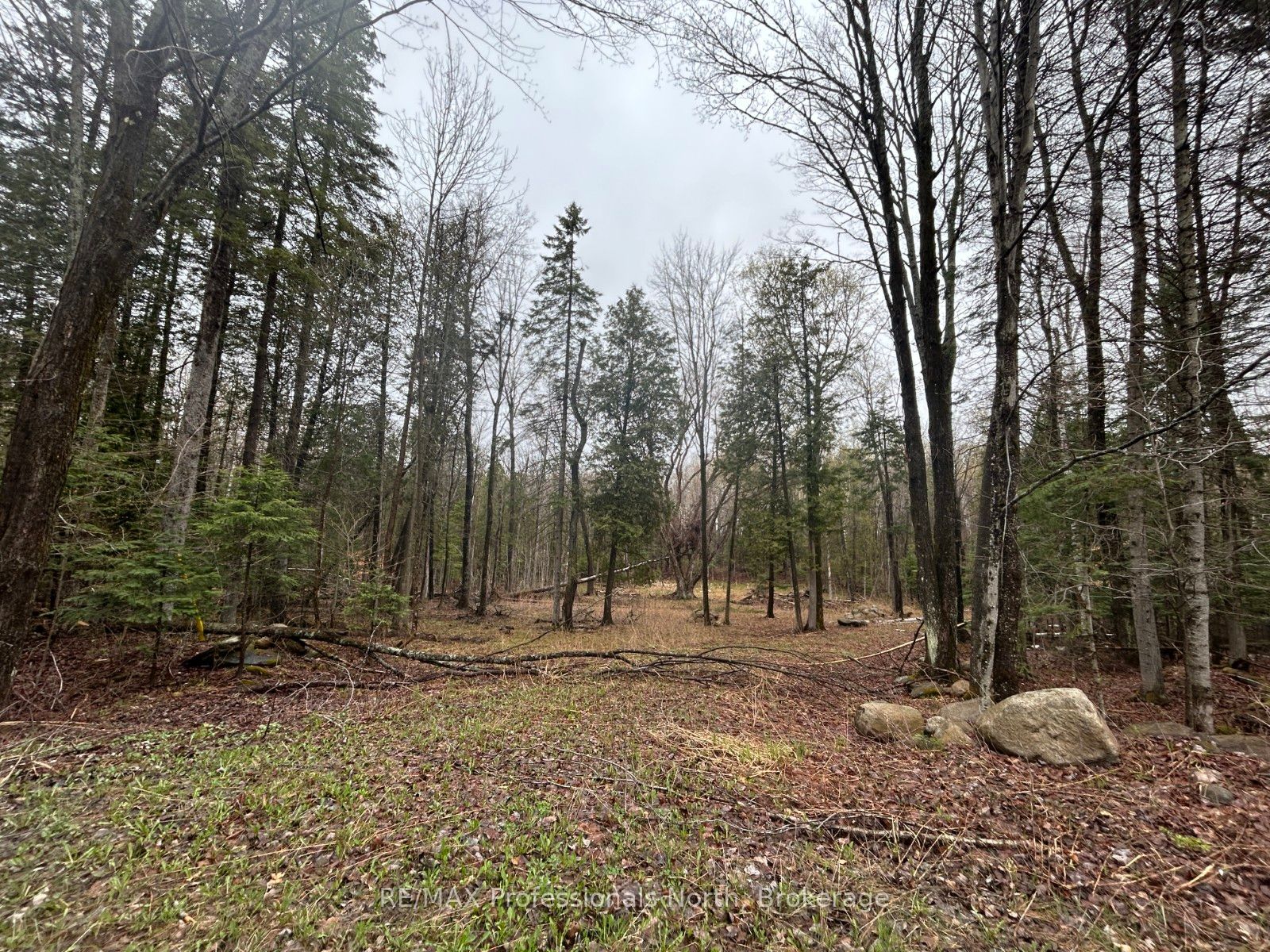 Tbd North Drive Property Photo 5
