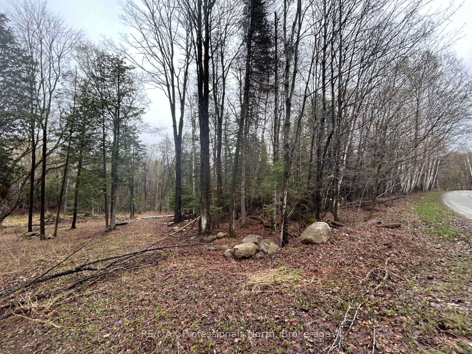 Tbd North Drive Property Photo 6