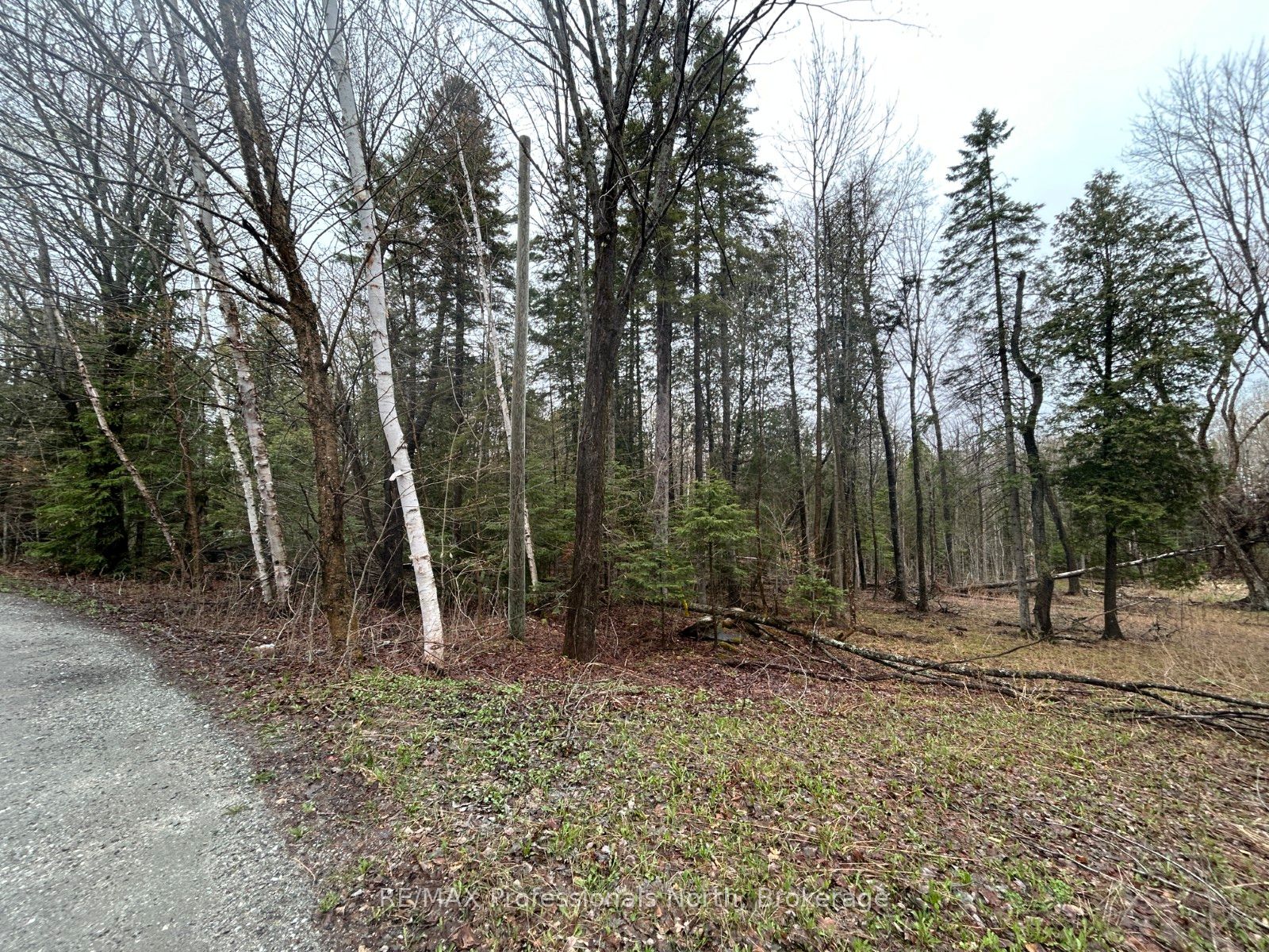 Tbd North Drive Property Photo 7