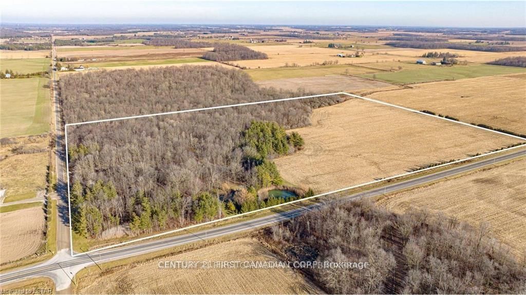 29709 Celtic Line S Property Photo 4