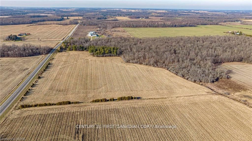 29709 Celtic Line S Property Photo 5