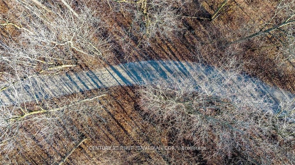 29709 Celtic Line S Property Photo 8