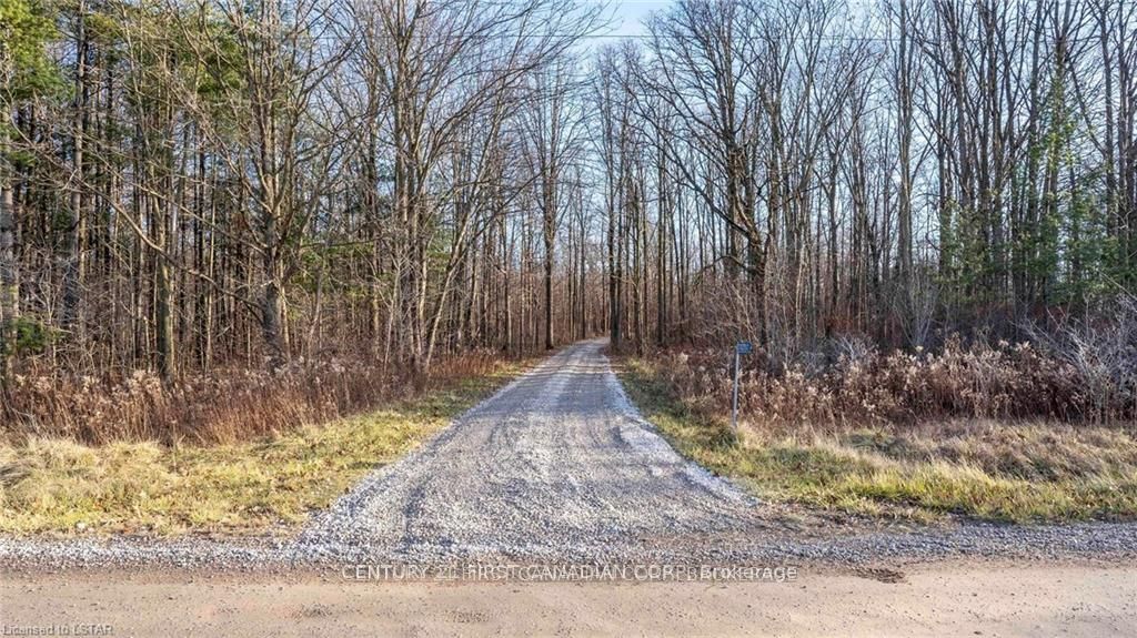 29709 Celtic Line S Property Photo 10