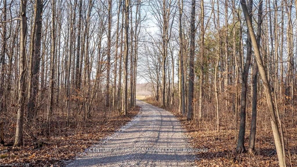 29709 Celtic Line S Property Photo 11
