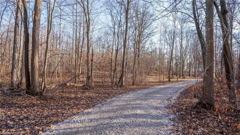 29709 Celtic Line S Property Photo 13