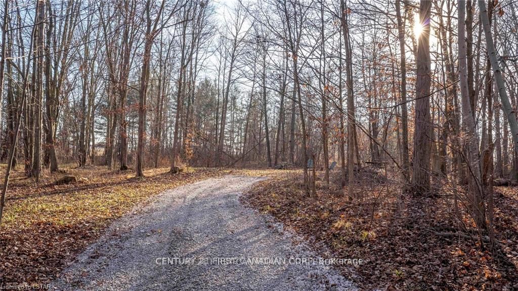 29709 Celtic Line S Property Photo 14