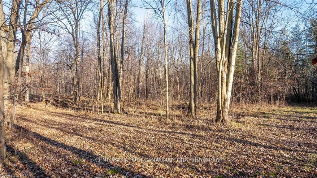 29709 Celtic Line S Property Photo 15