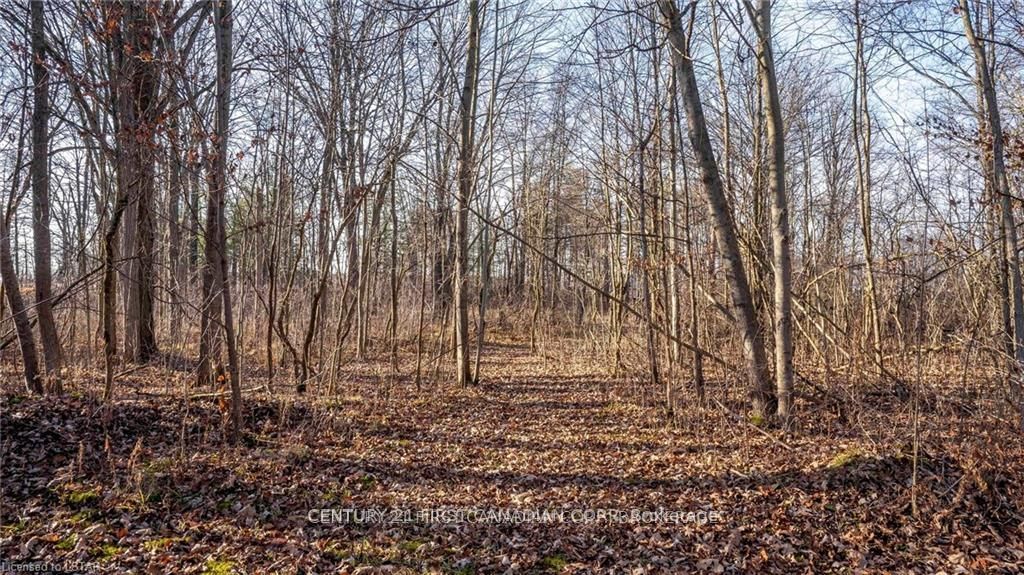 29709 Celtic Line S Property Photo 17