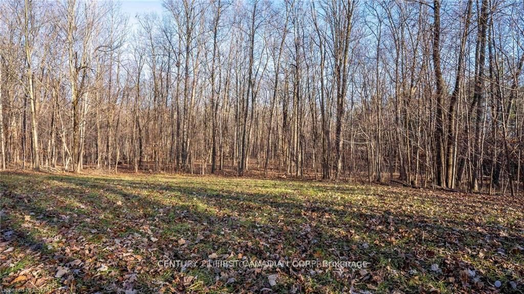29709 Celtic Line S Property Photo 22