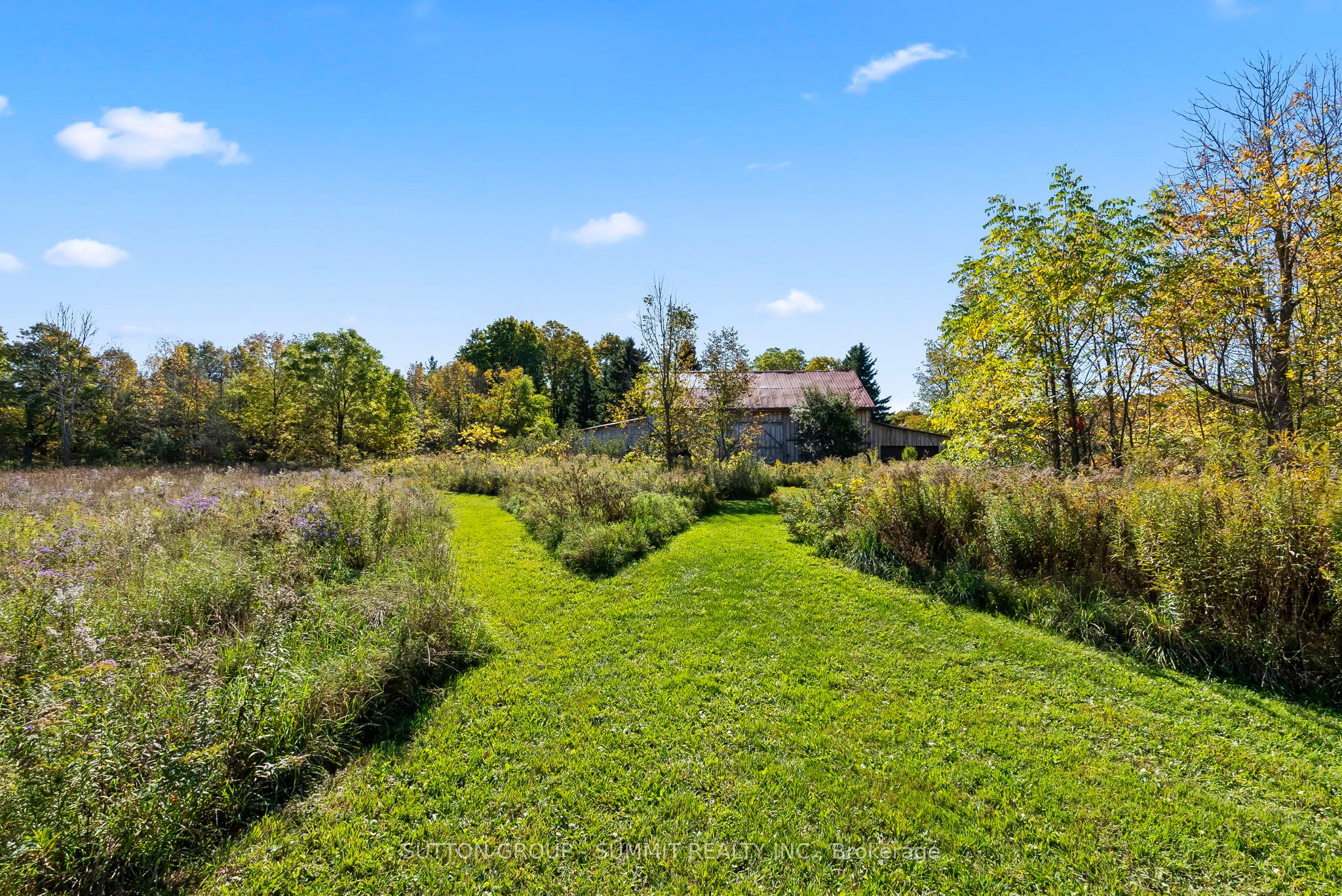 502349 10 Concession Property Photo 31