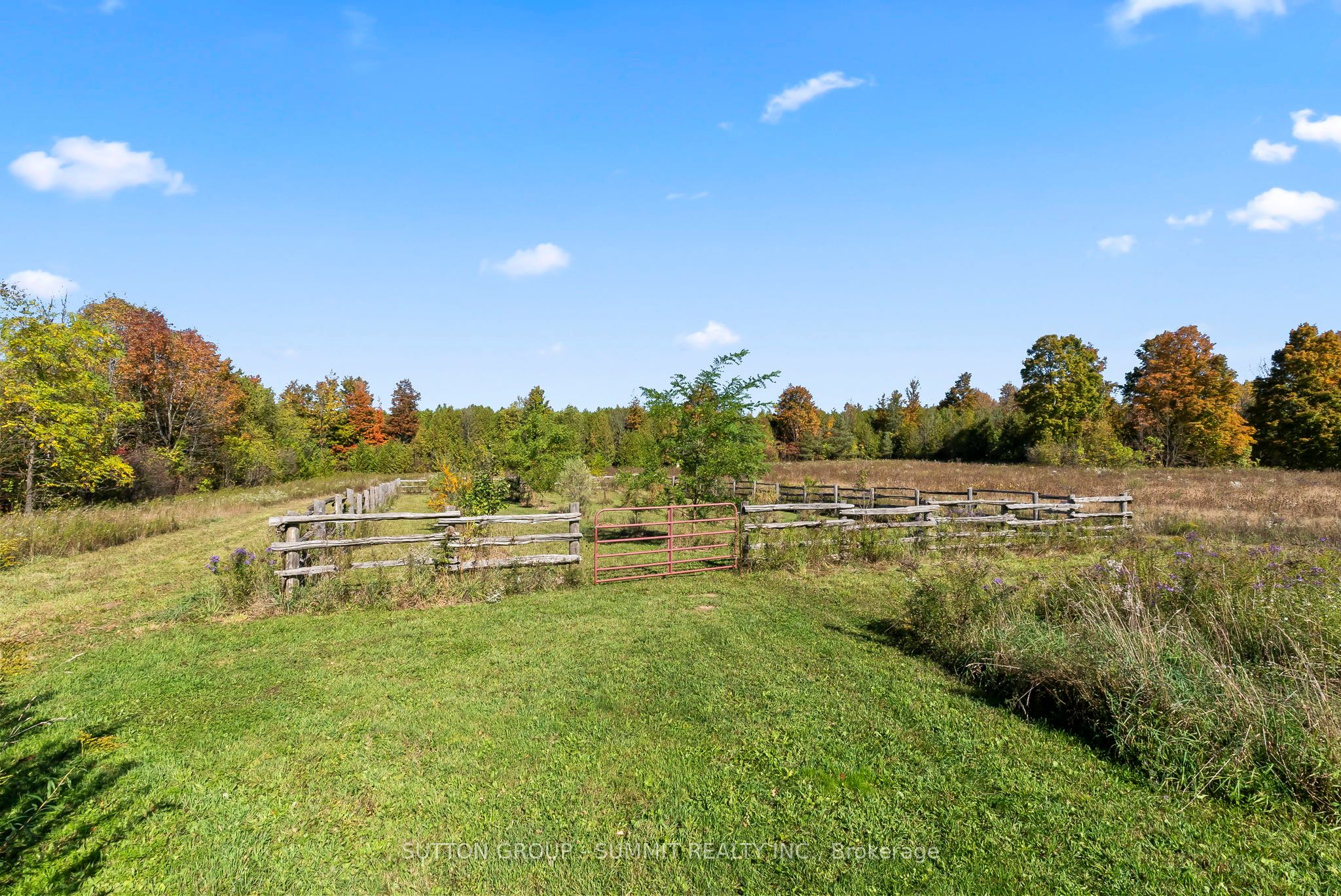 502349 10 Concession Property Photo 32