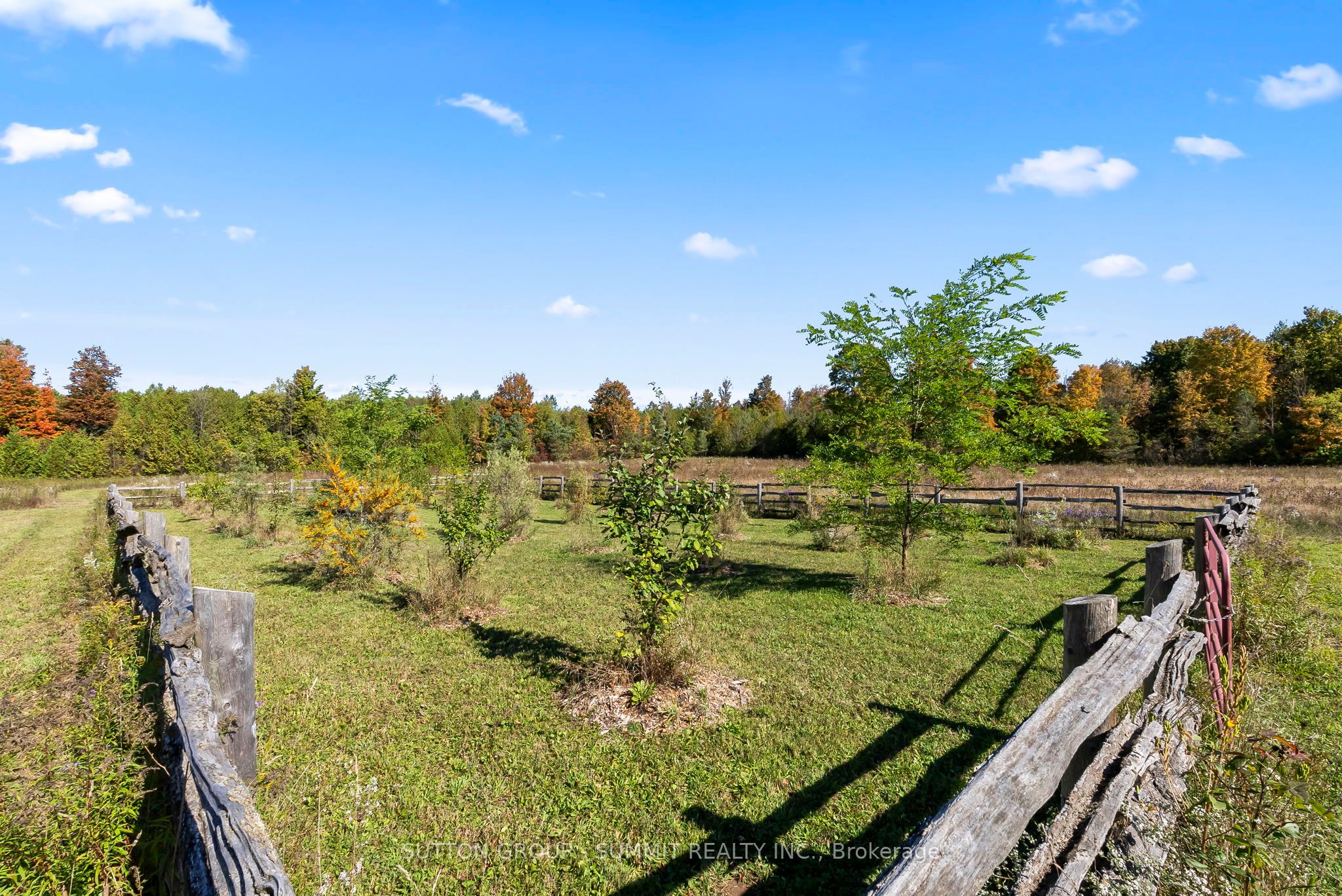 502349 10 Concession Property Photo 33