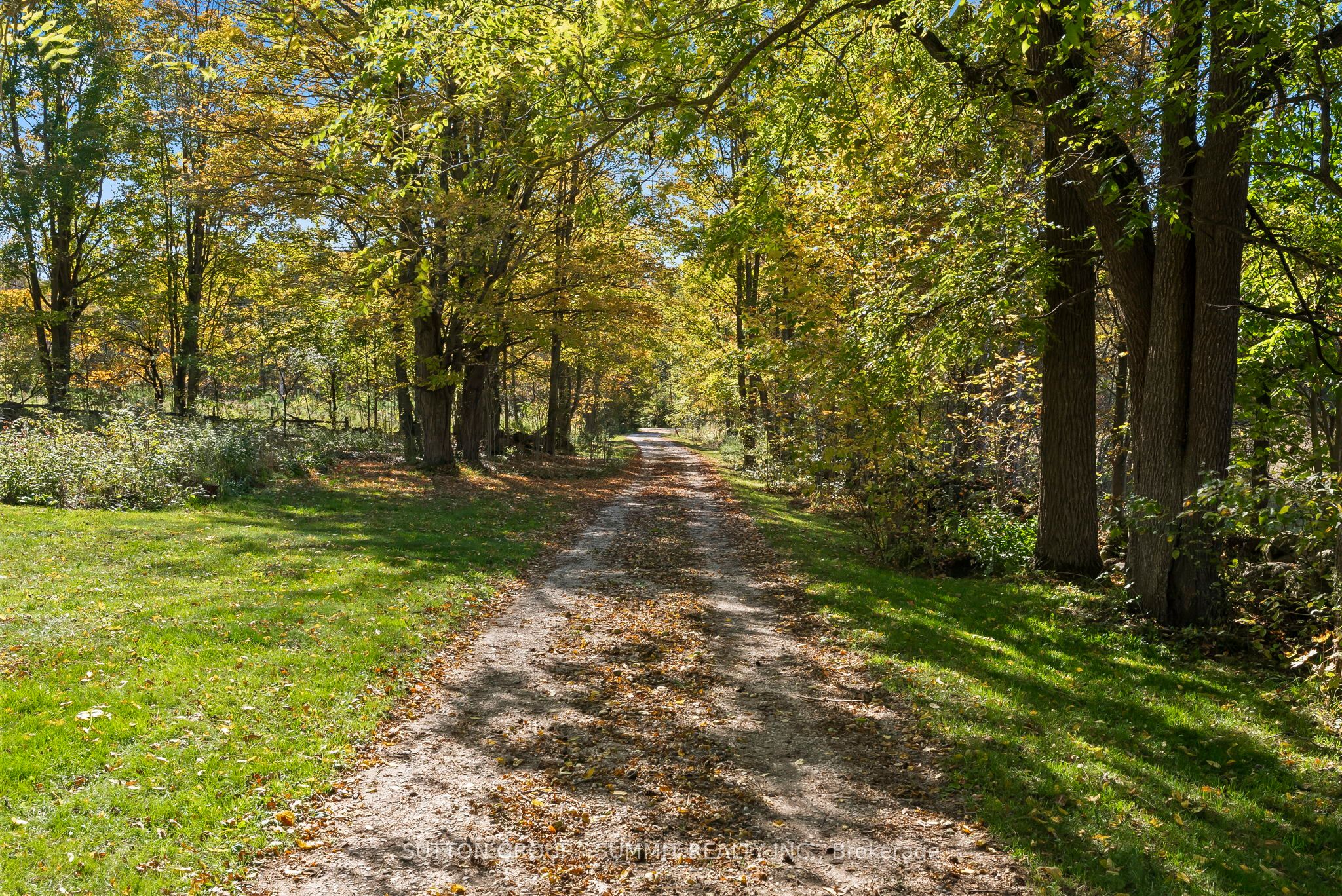 502349 10 Concession Property Photo 41