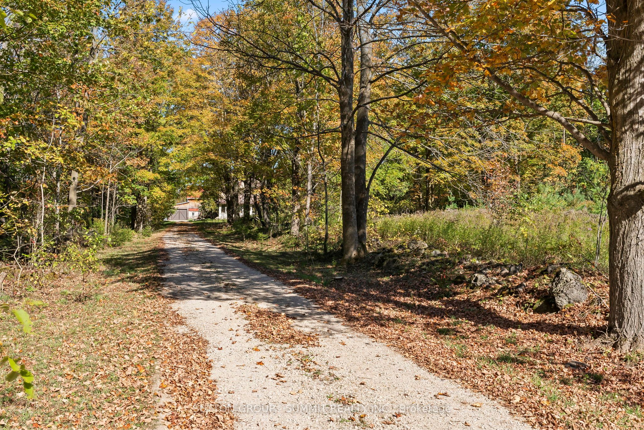 502349 10 Concession Property Photo 42