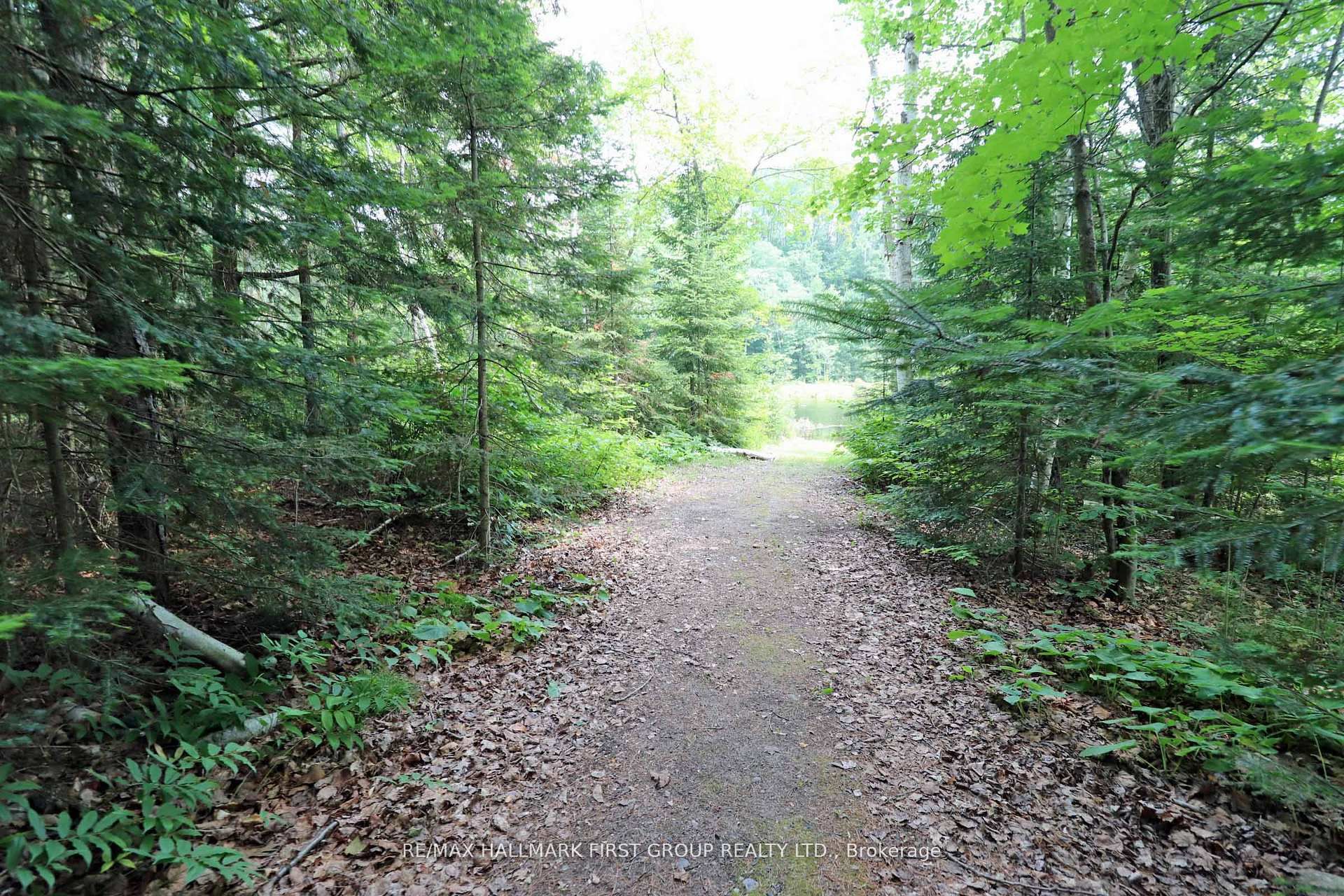 18120 Highway 41 Property Photo 20