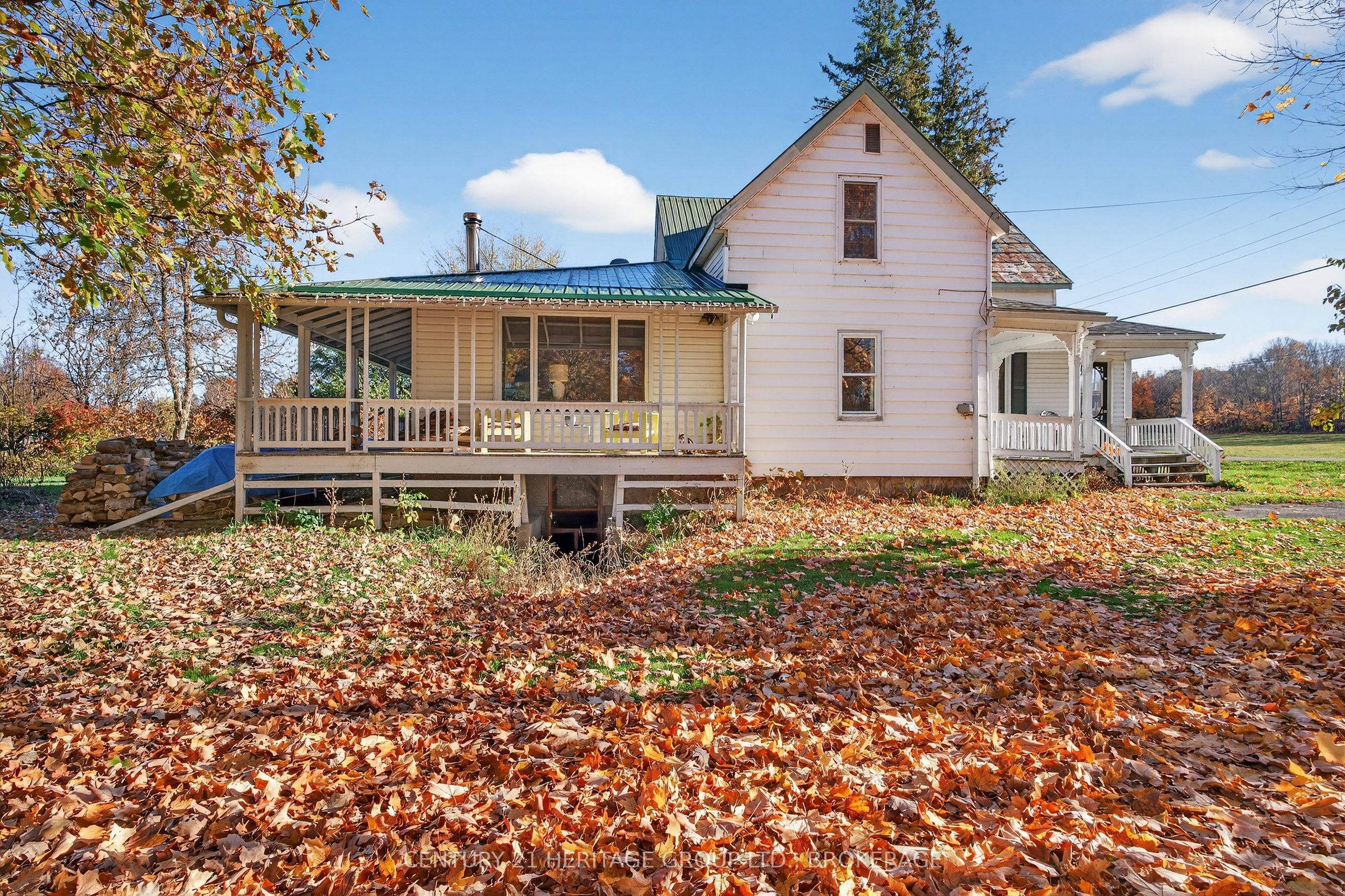 13 William Street Property Photo 31