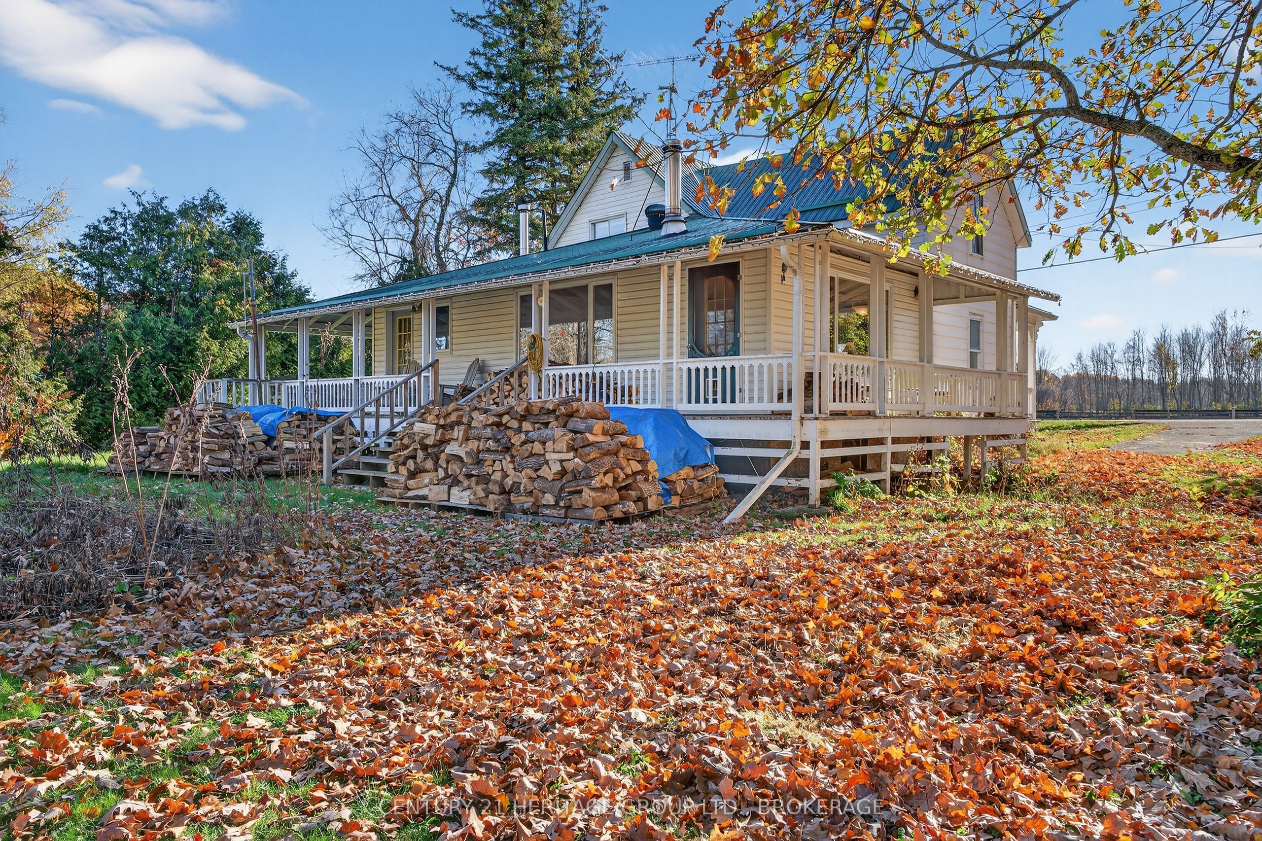 13 William Street Property Photo 32