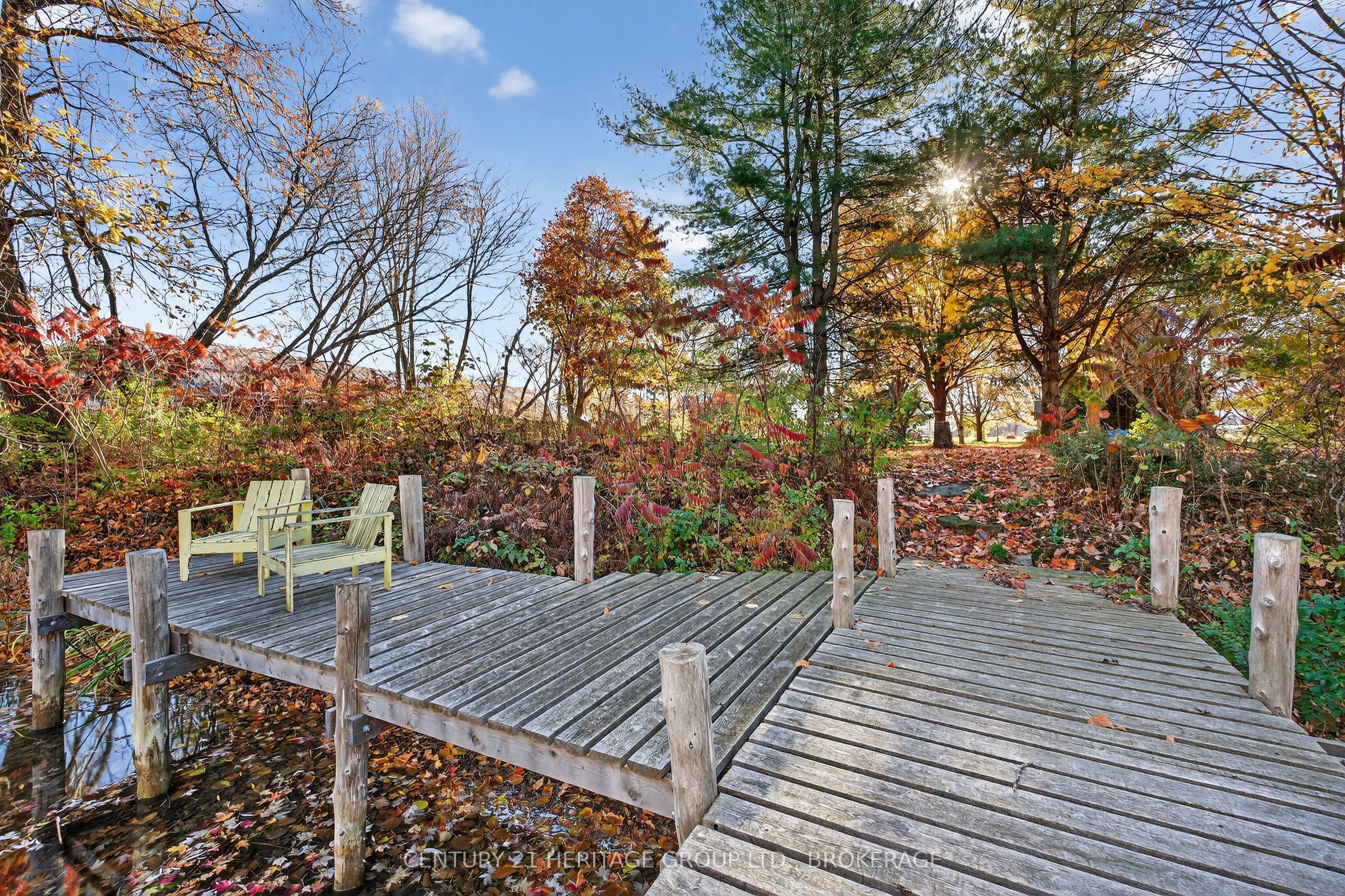13 William Street Property Photo 41