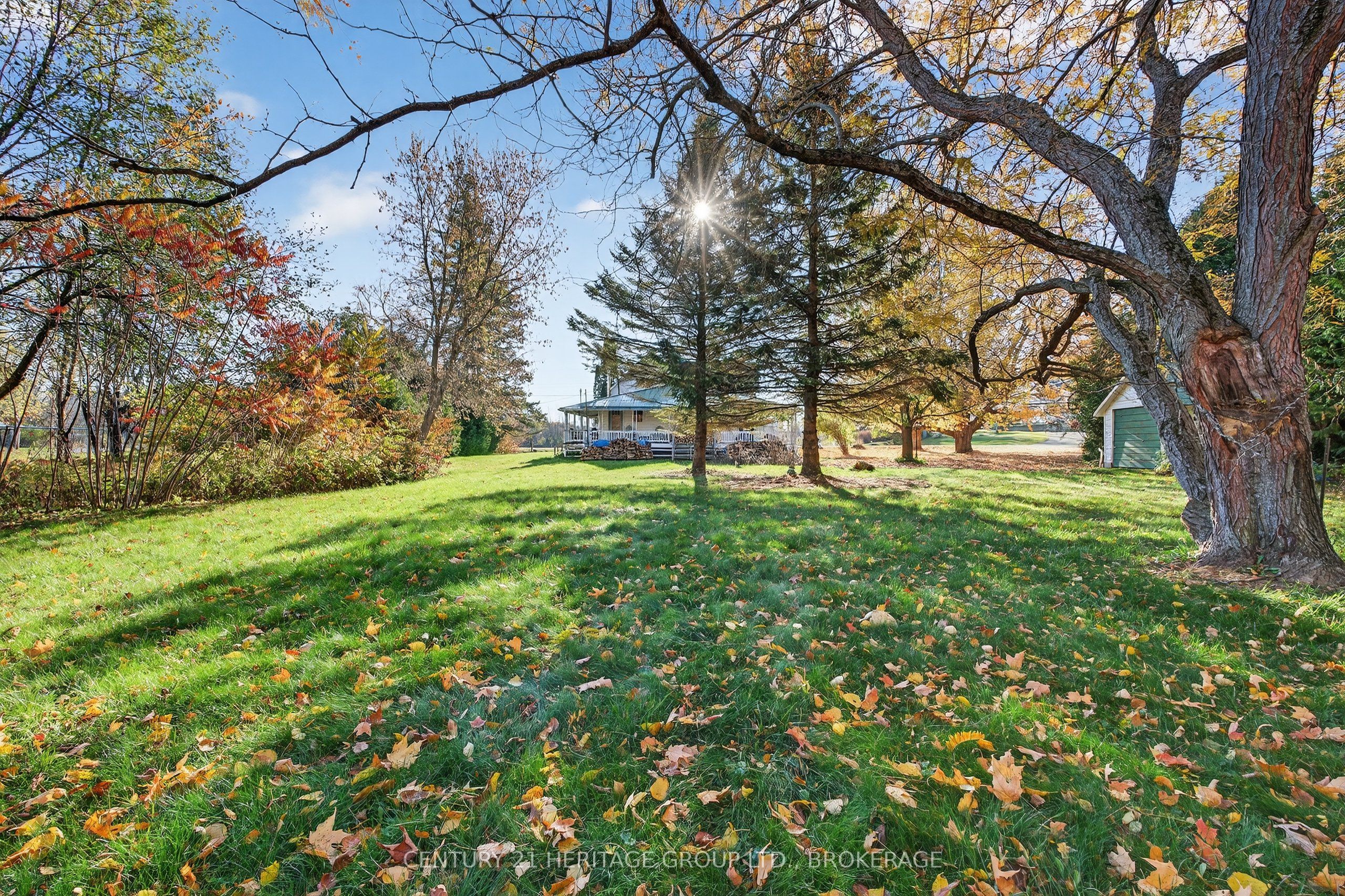 13 William Street Property Photo 43