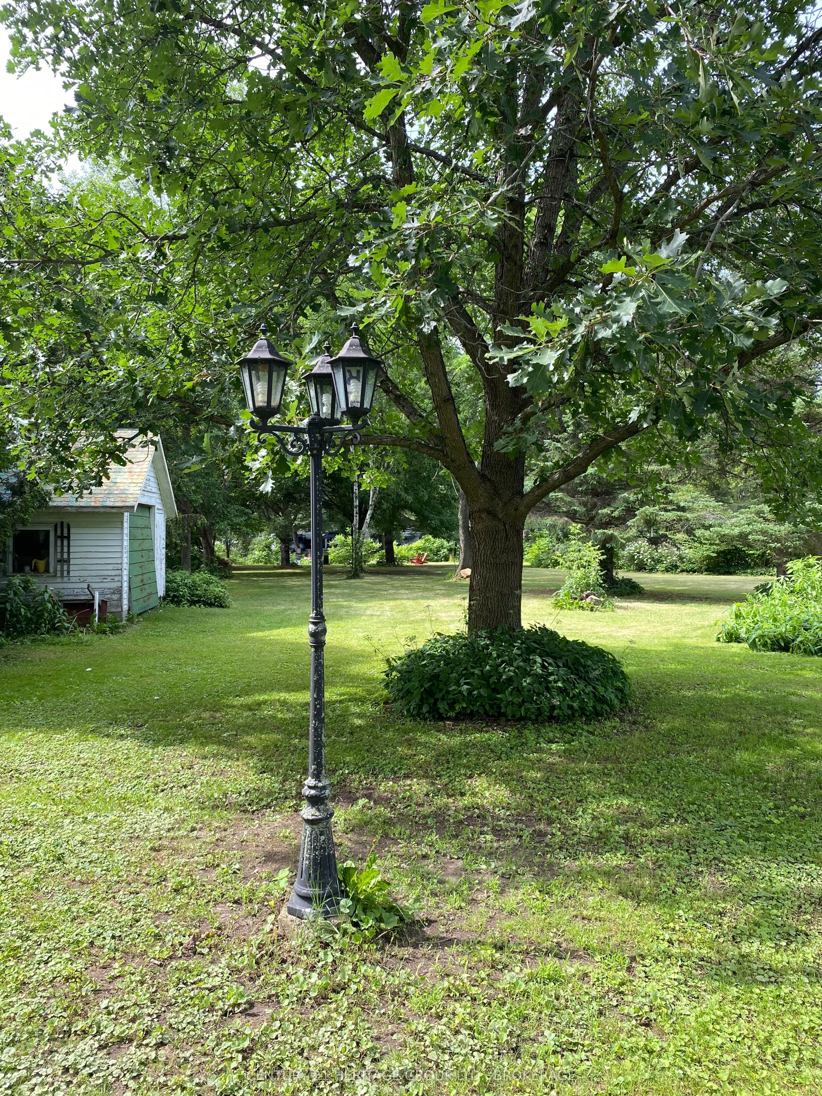 13 William Street Property Photo 49