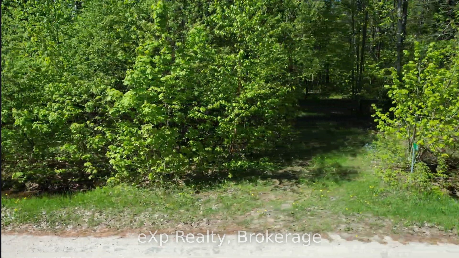 26 Magnet Road Property Photo 9