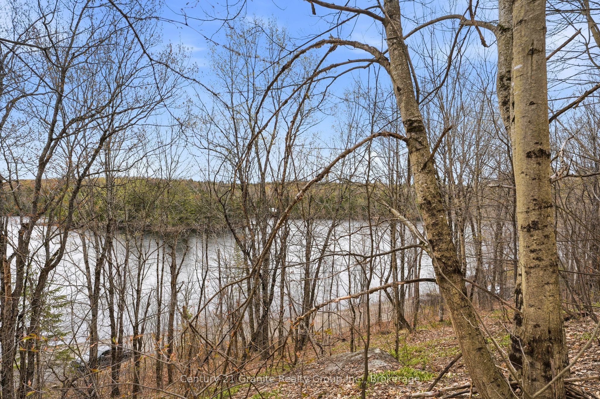 Pt Lt 6 Brady Lake Road Property Photo 8