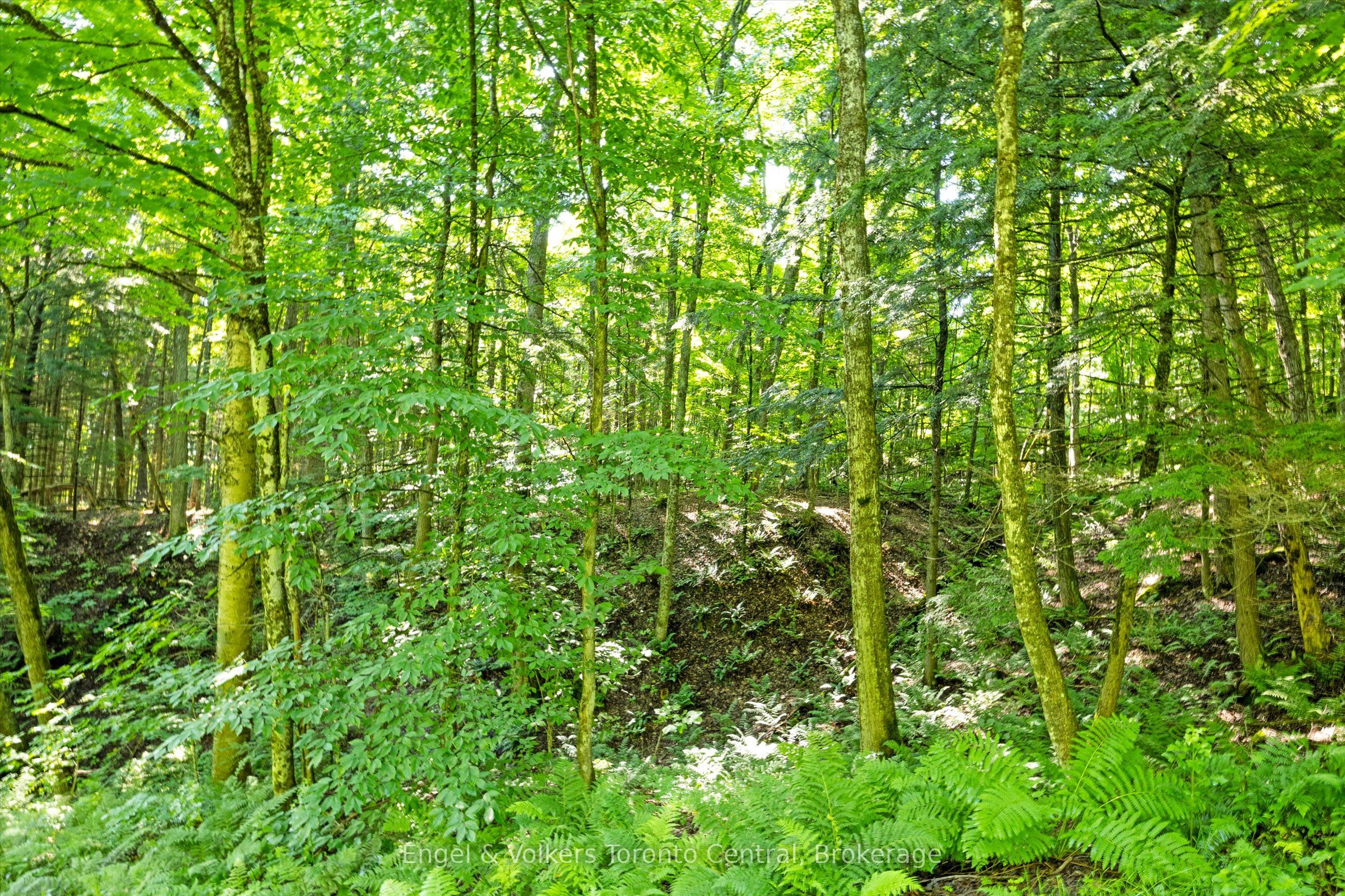 5 Arrow Ridge Road Property Photo 5