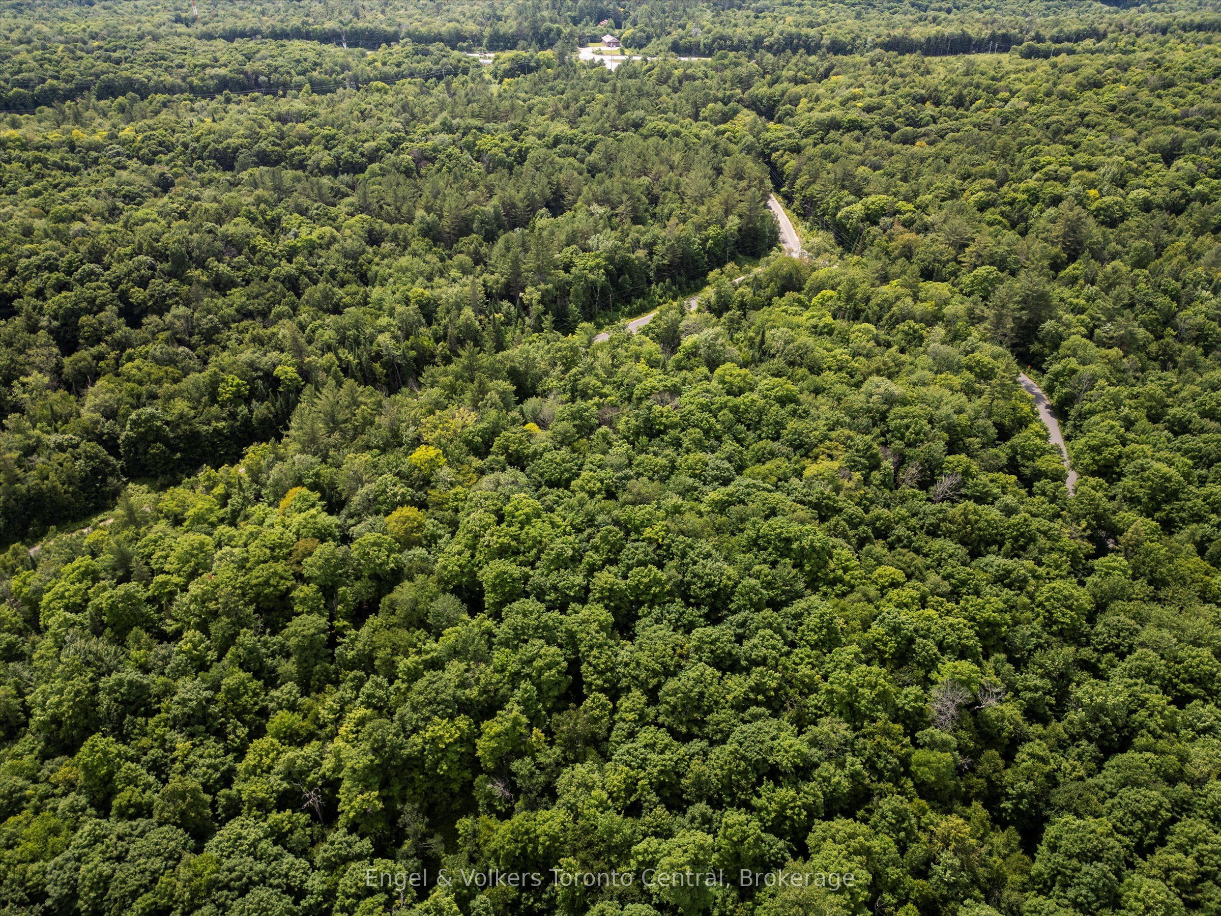 5 Arrow Ridge Road Property Photo 6