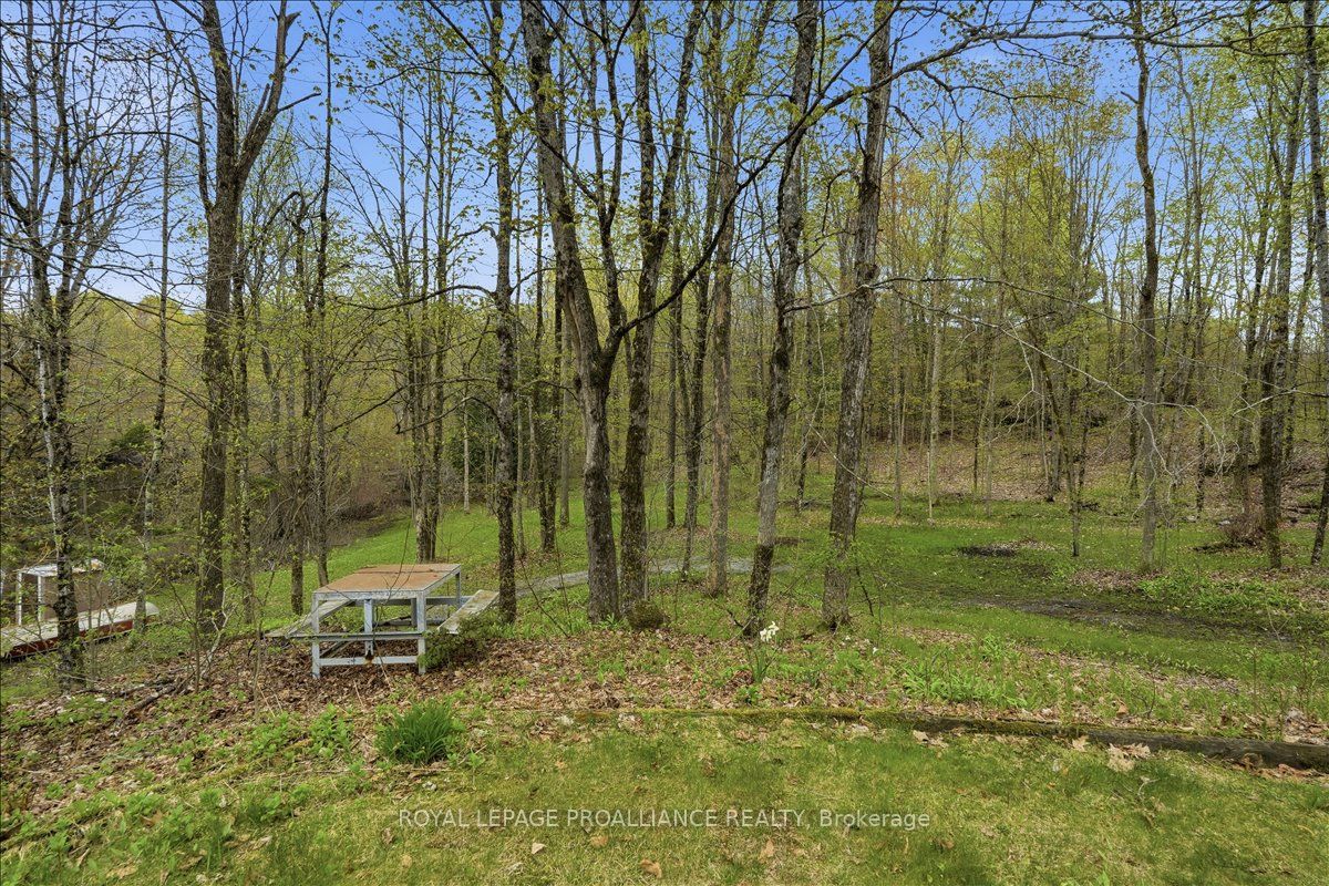 606 Black River Road Property Photo 28