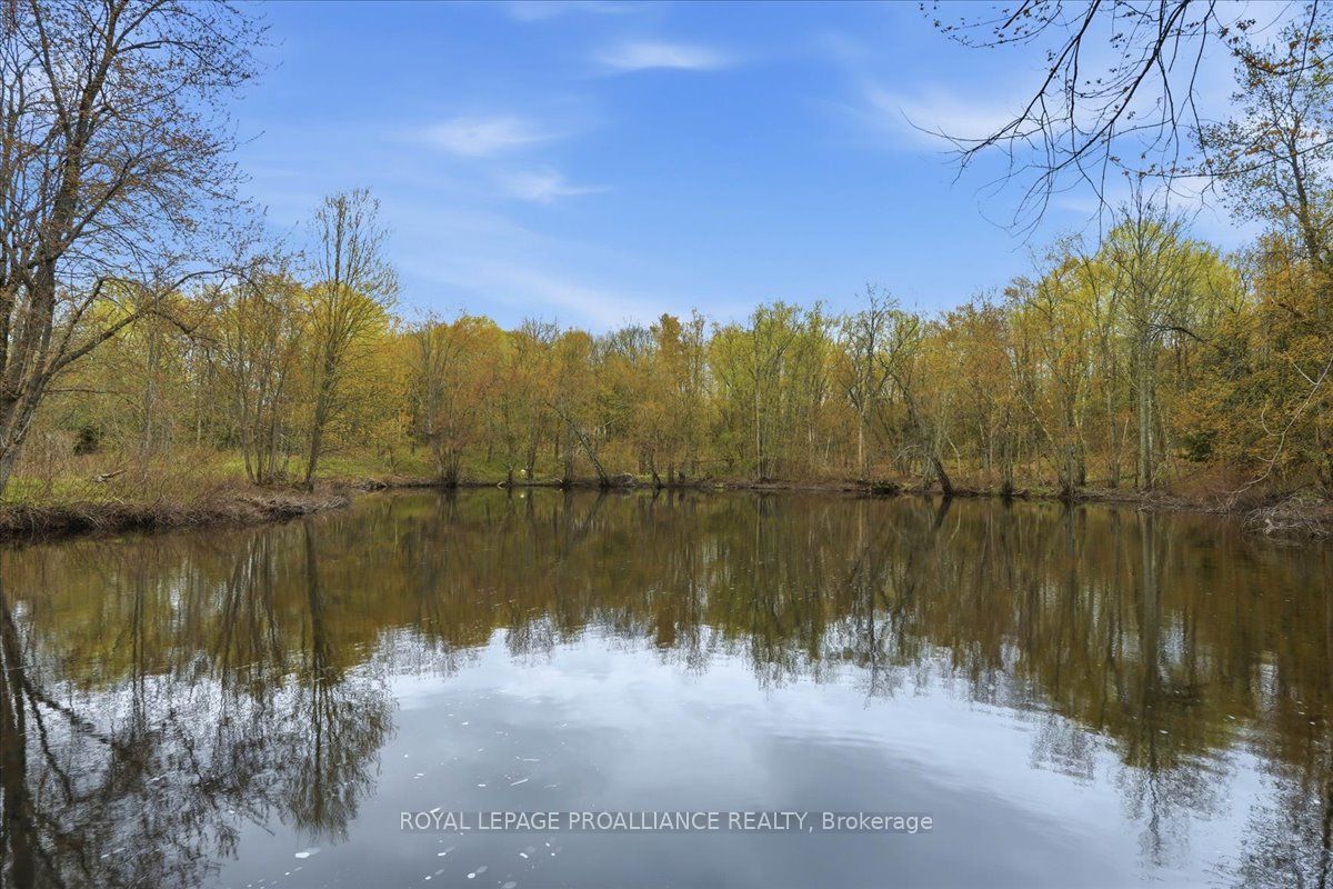 606 Black River Road Property Photo 36
