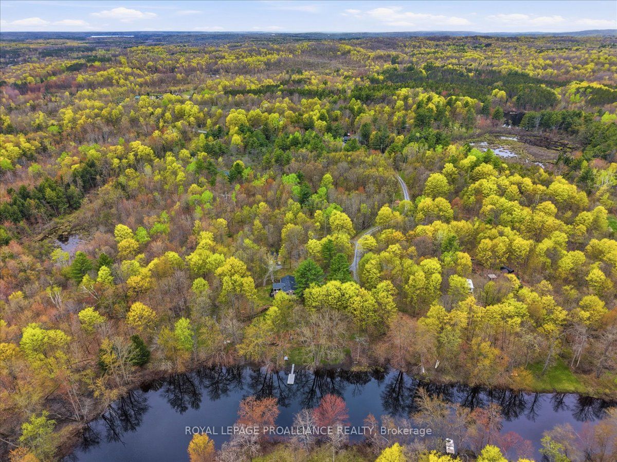 606 Black River Road Property Photo 38