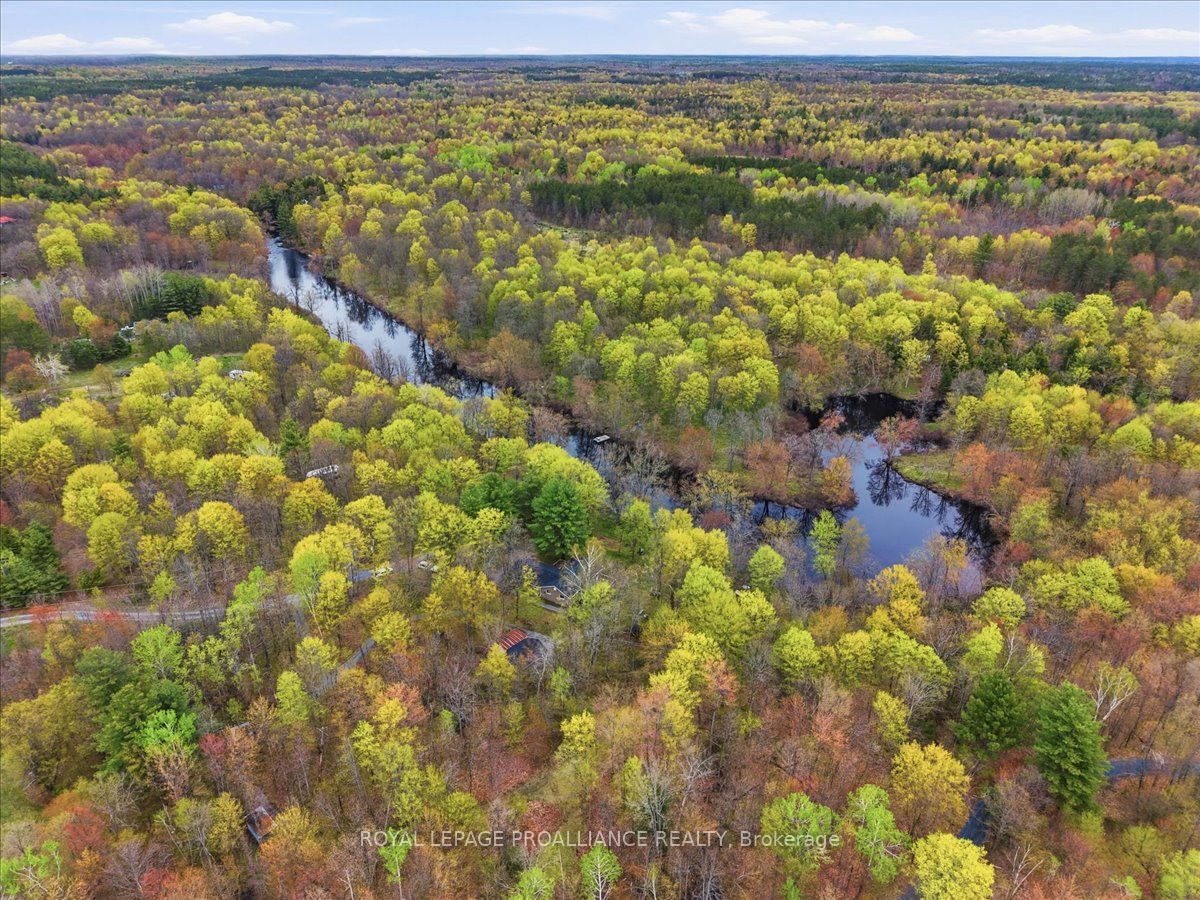 606 Black River Road Property Photo 40
